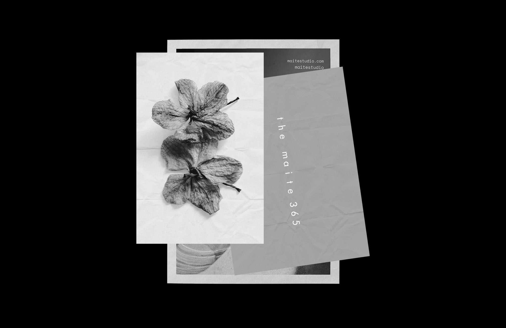 THE MÁITE — Изображение №11 — Брендинг, Графика на Dprofile