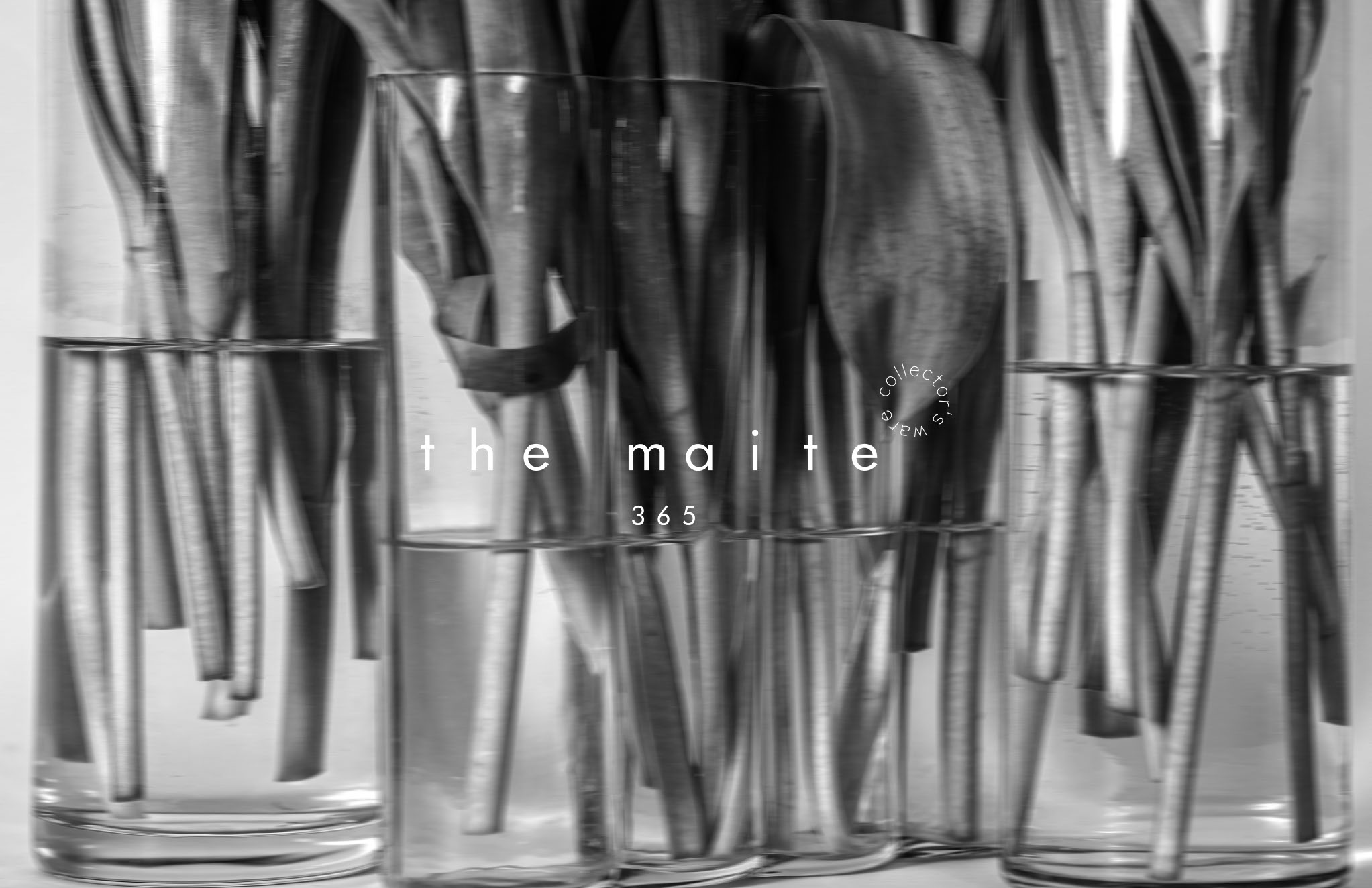 THE MÁITE — Изображение №1 — Брендинг, Графика на Dprofile