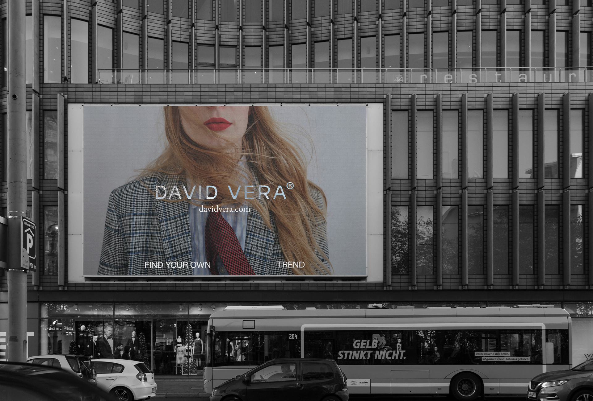 DAVID VERA® — Изображение №3 — Брендинг, Графика на Dprofile