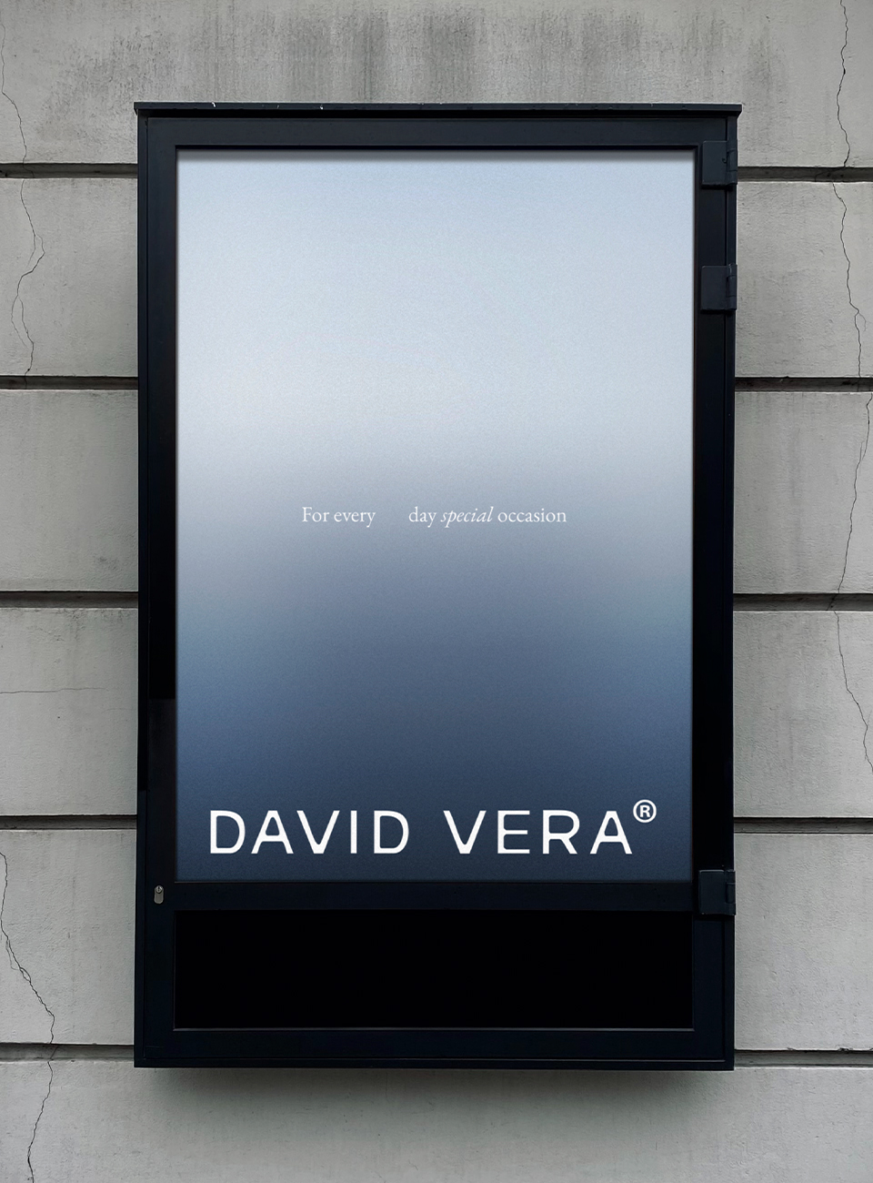 DAVID VERA® — Изображение №7 — Брендинг, Графика на Dprofile