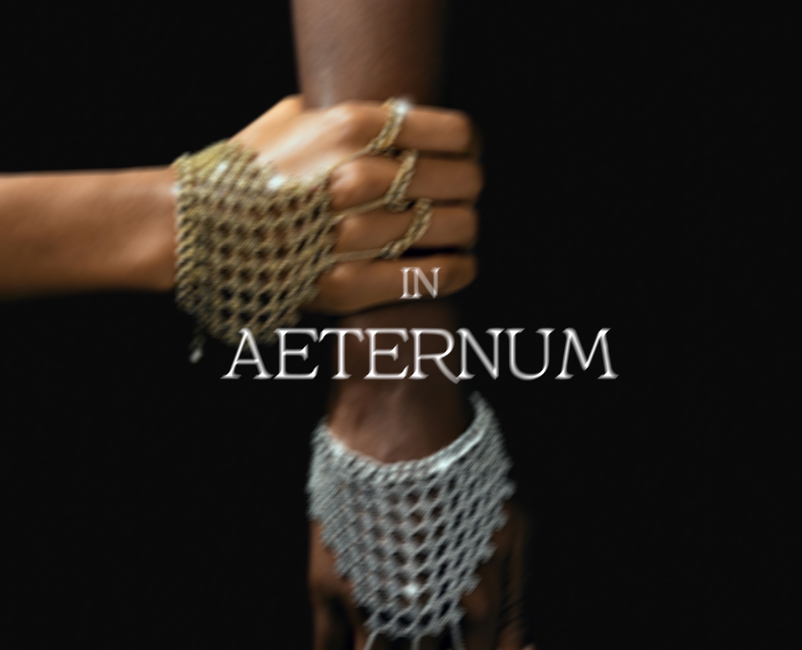INAETERNUM — Брендинг, Графика на Dprofile