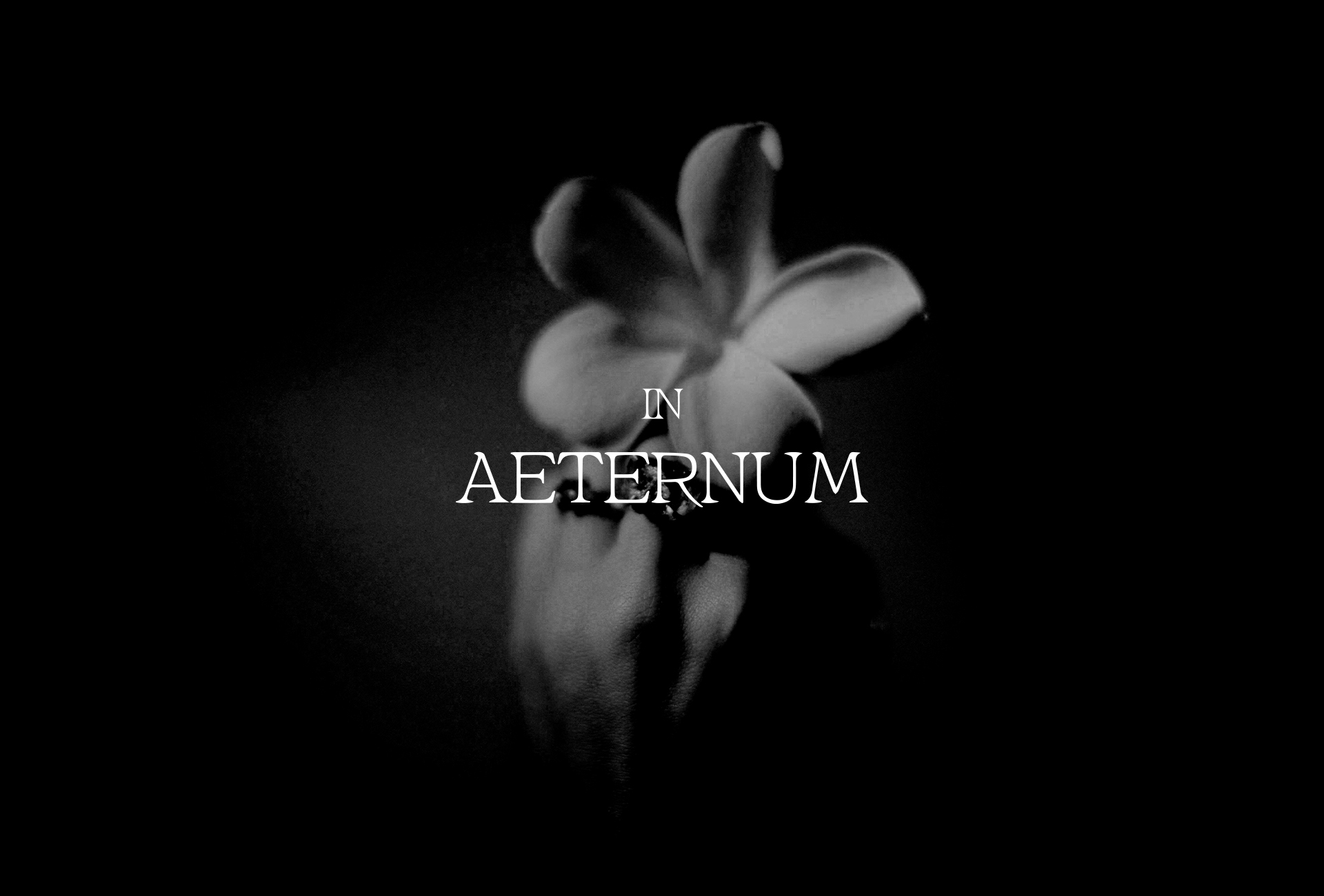 INAETERNUM — Изображение №5 — Брендинг, Графика на Dprofile