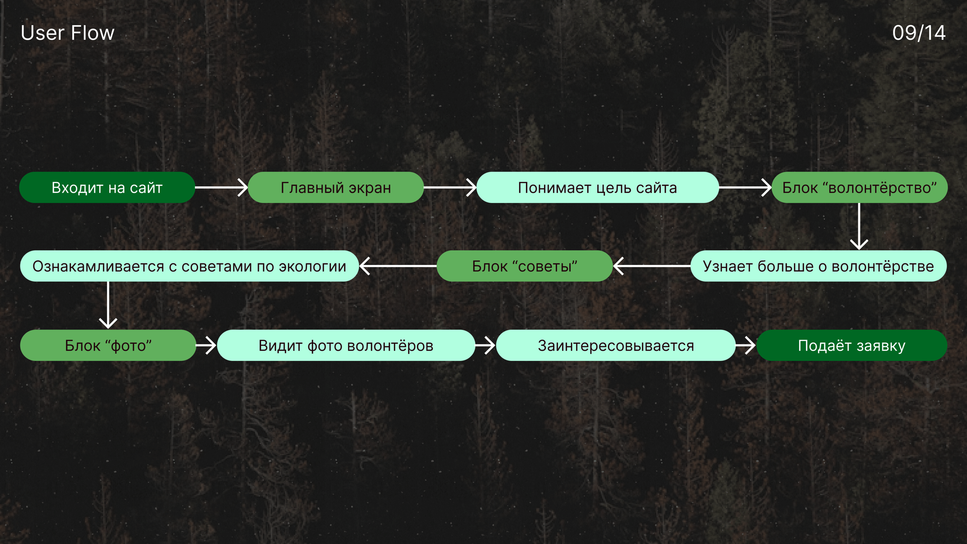SAVEFOREST | Посади Дерево | Экология — Изображение №10 — Интерфейсы на Dprofile