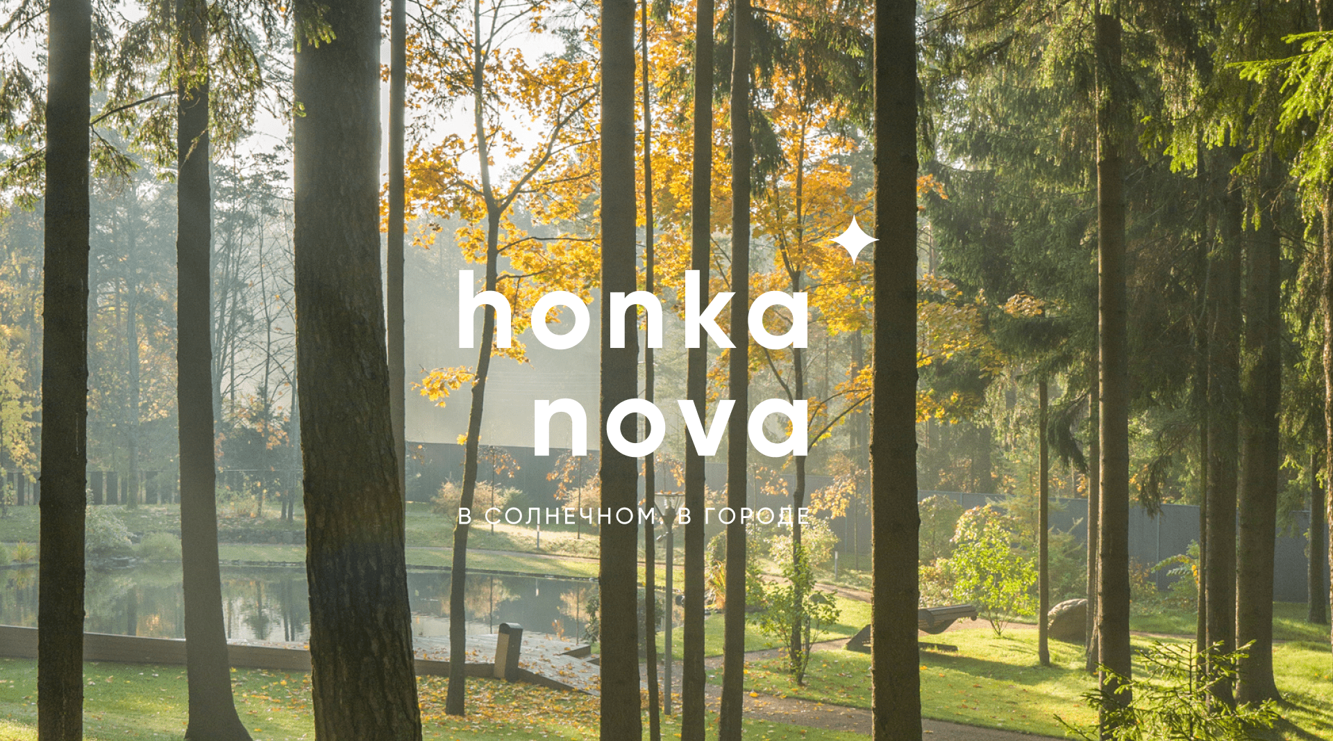 HonkaNova. Рестайлинг и сайт для премиального поселка — Изображение №6 — Интерфейсы, Брендинг на Dprofile