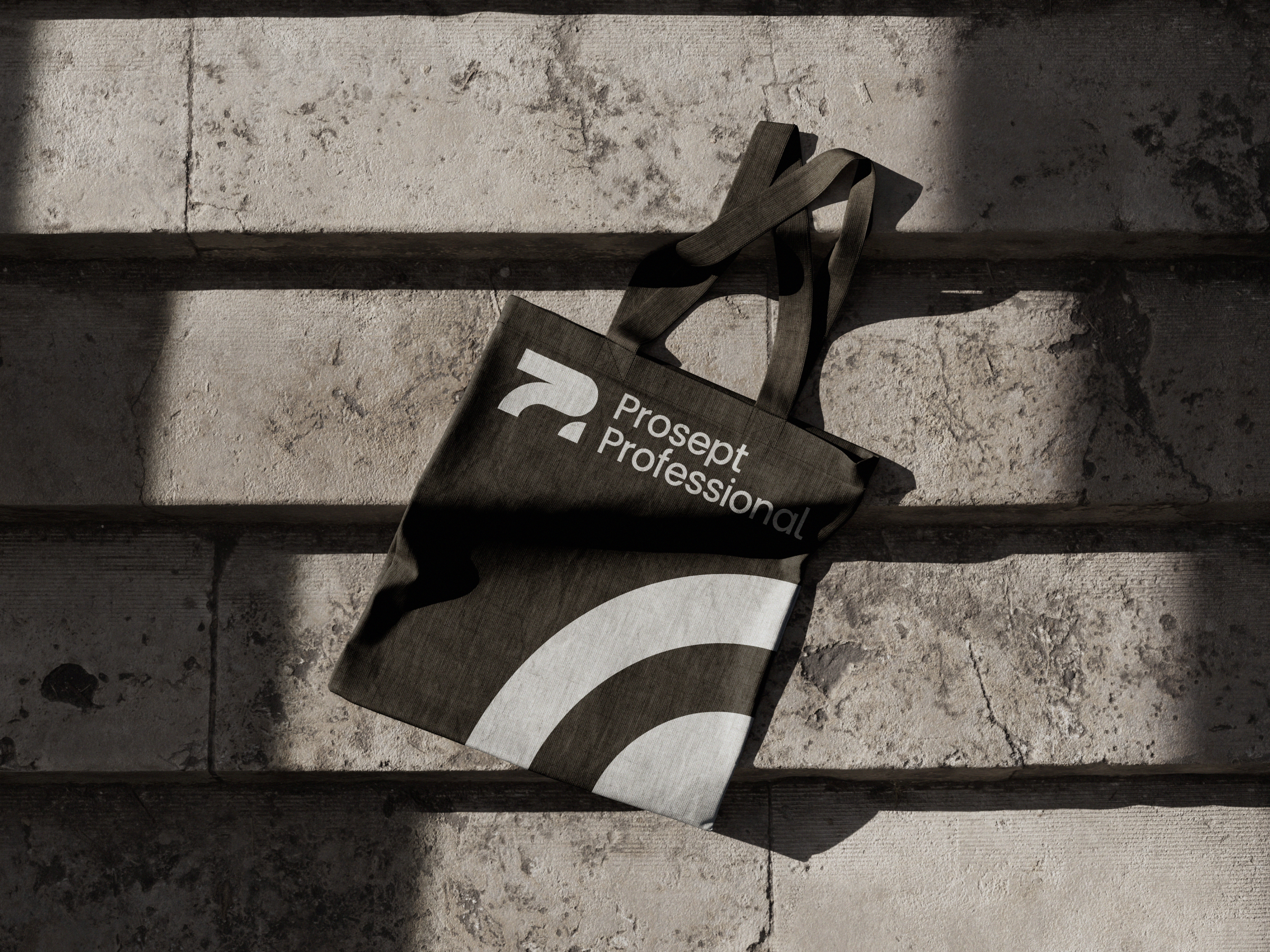 Prosept Professional® | Brand & Packaging Design — Изображение №13 — Брендинг на Dprofile