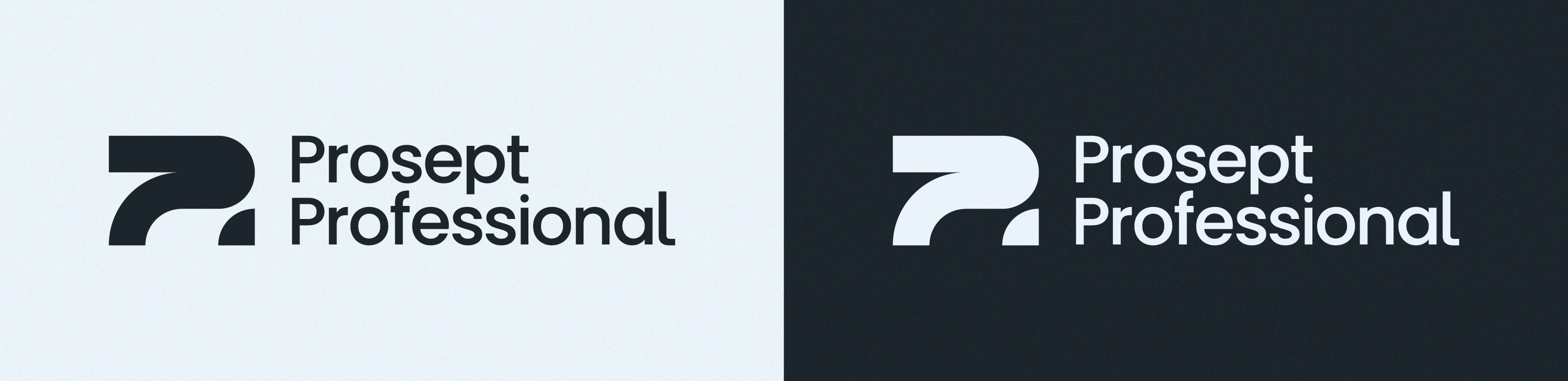 Prosept Professional® | Brand & Packaging Design — Изображение №5 — Брендинг на Dprofile