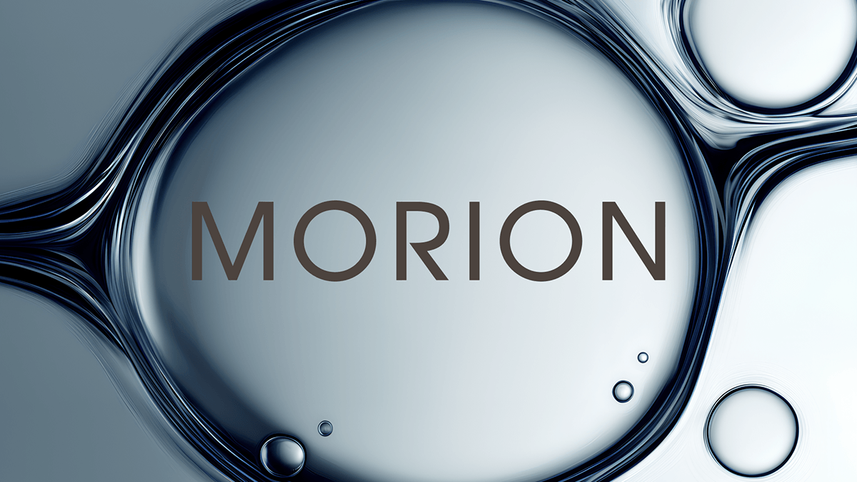 MORION | Брендинг и упаковка — Изображение №1 — Брендинг на Dprofile