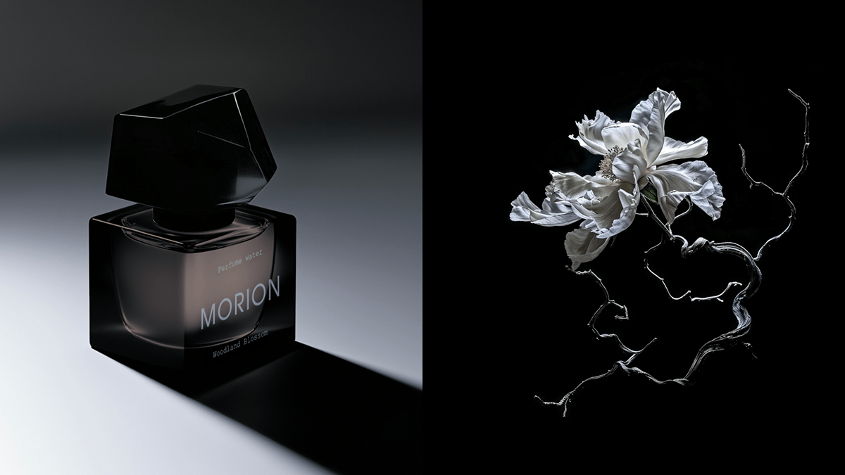 MORION | Брендинг и упаковка — Изображение №12 — Брендинг на Dprofile