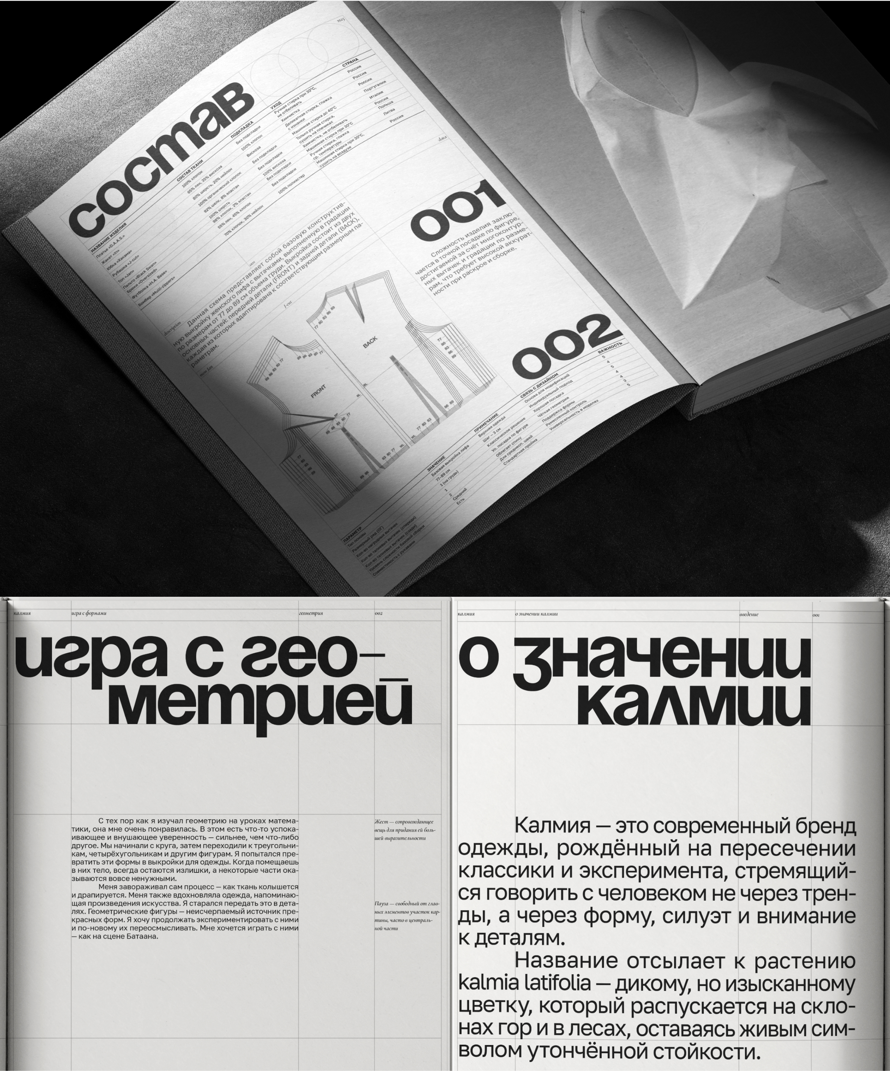 КАЛМИЯ | айдентика, типографика — Изображение №6 — Брендинг, Графика на Dprofile