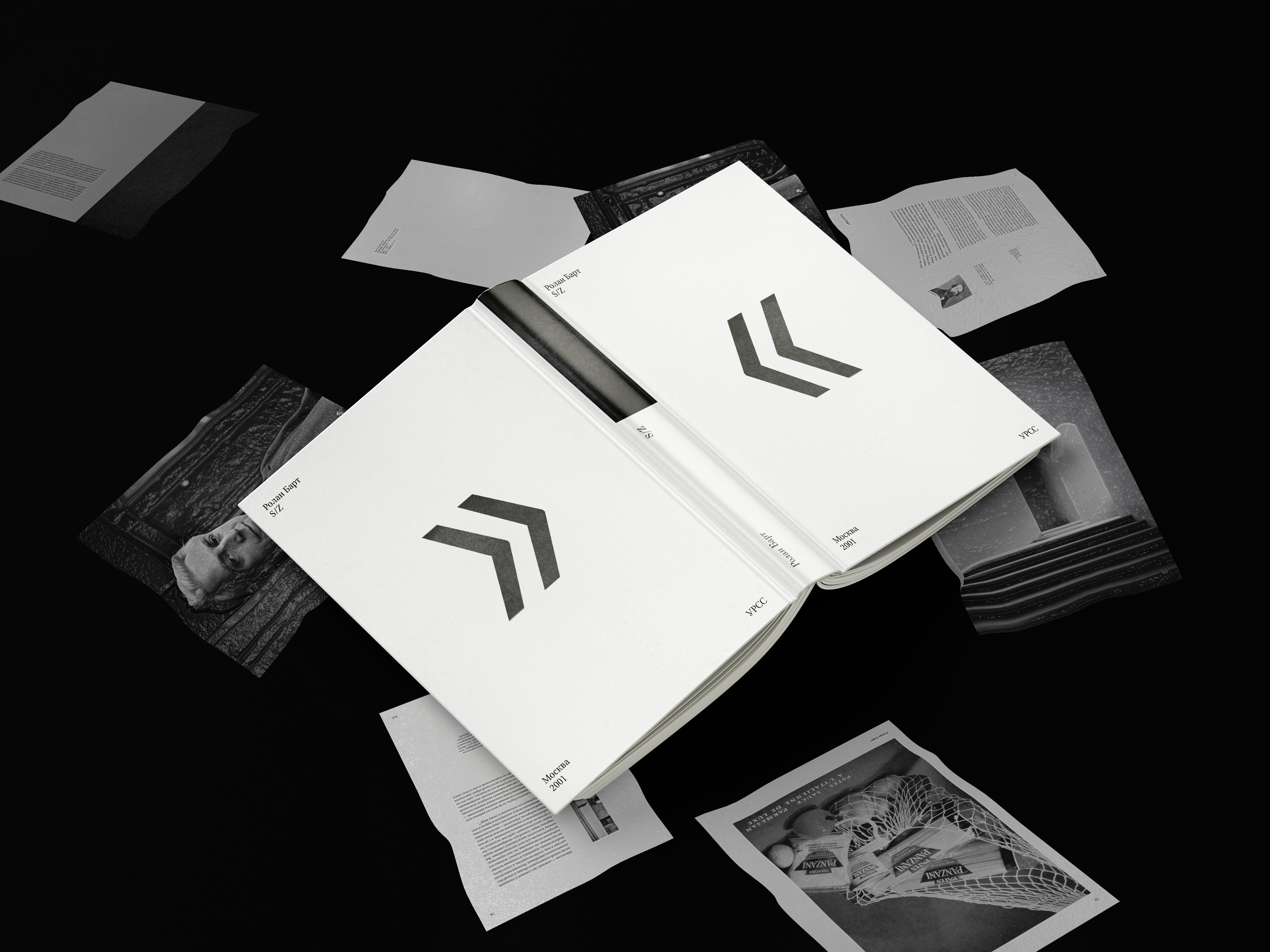 Ролан Барт "S/Z" — Изображение №1 — Графика на Dprofile