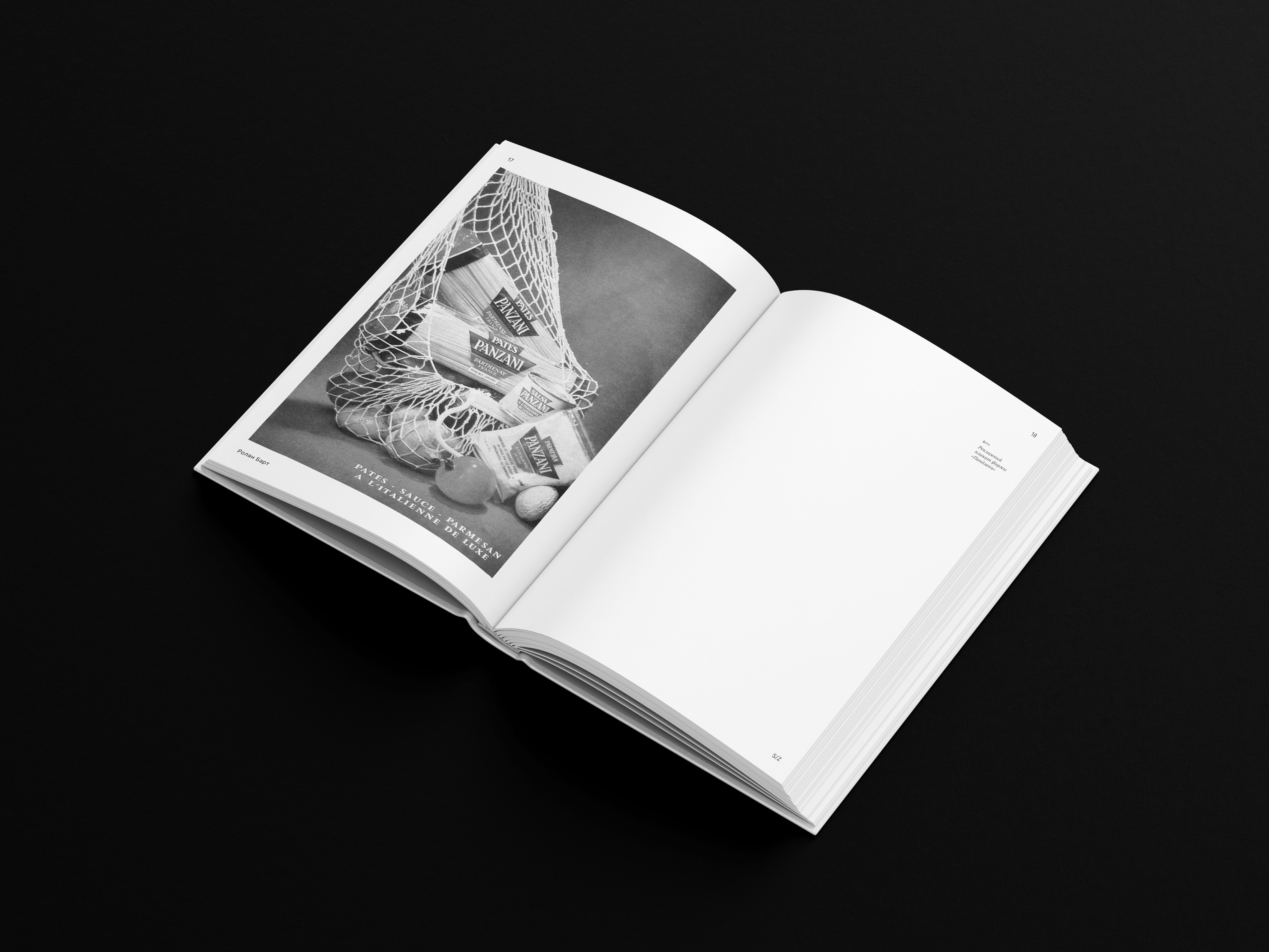 Ролан Барт "S/Z" — Изображение №8 — Графика на Dprofile