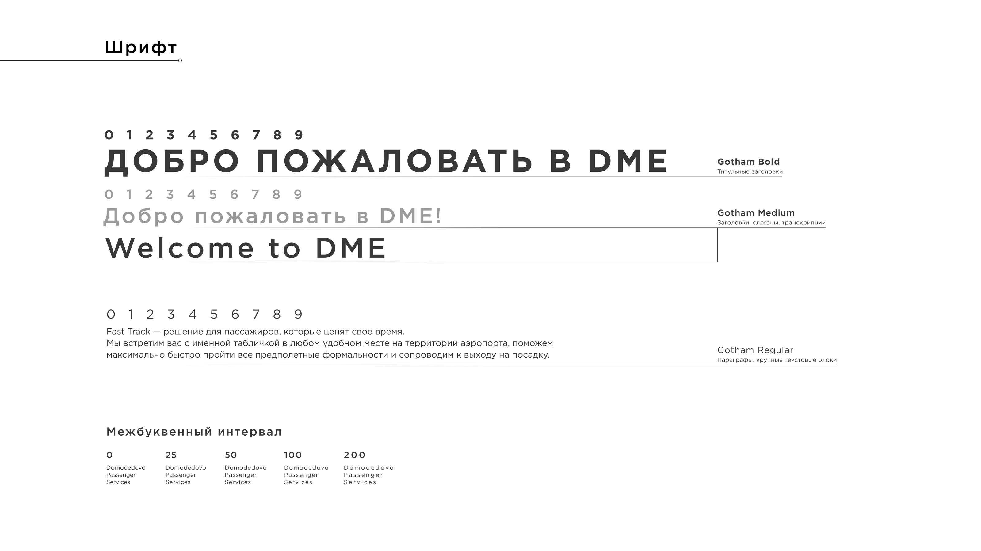 Brand Guidelines: Domodedovo Passenger Terminal — Изображение №5 — Брендинг на Dprofile