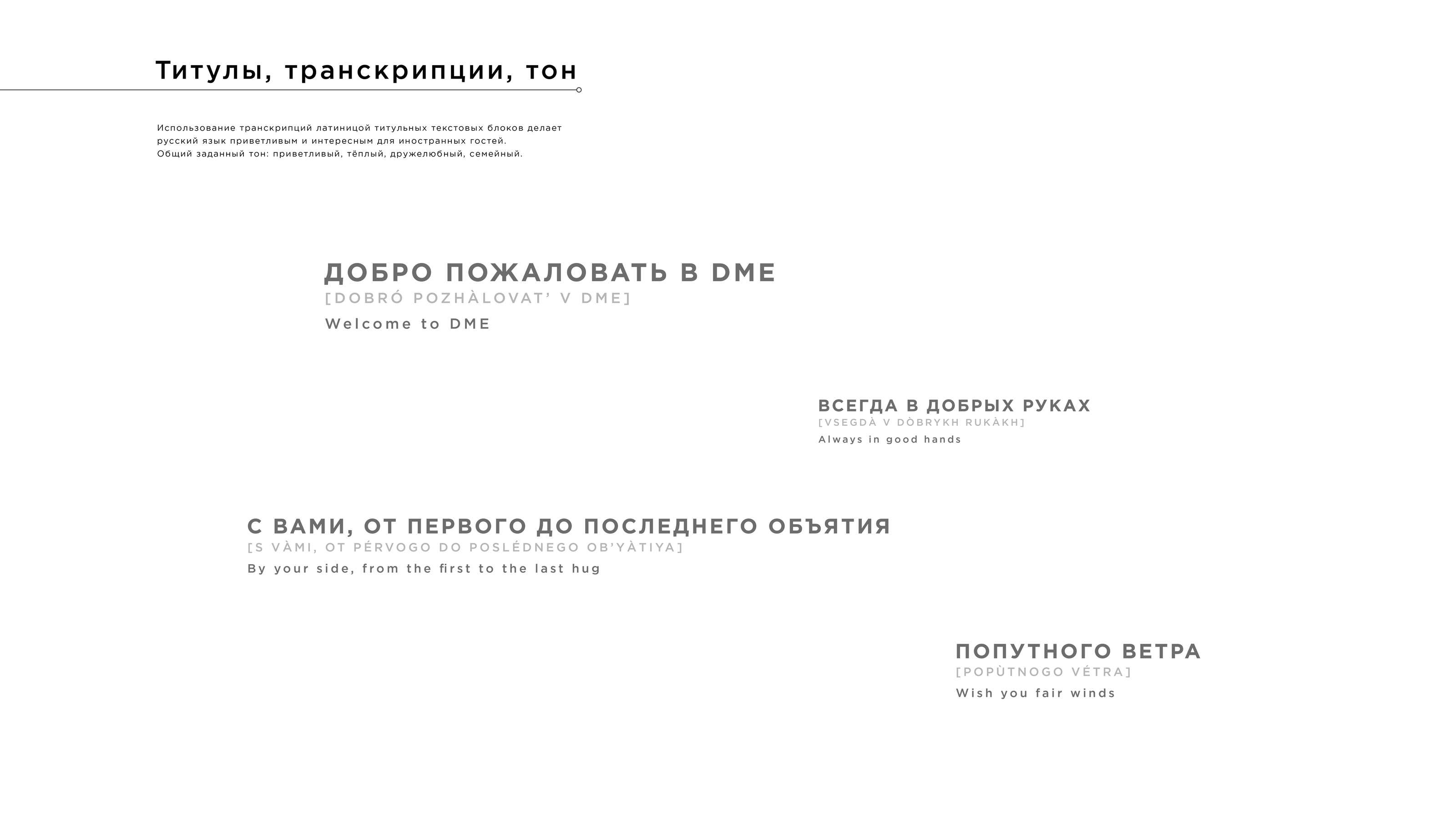 Brand Guidelines: Domodedovo Passenger Terminal — Изображение №15 — Брендинг на Dprofile