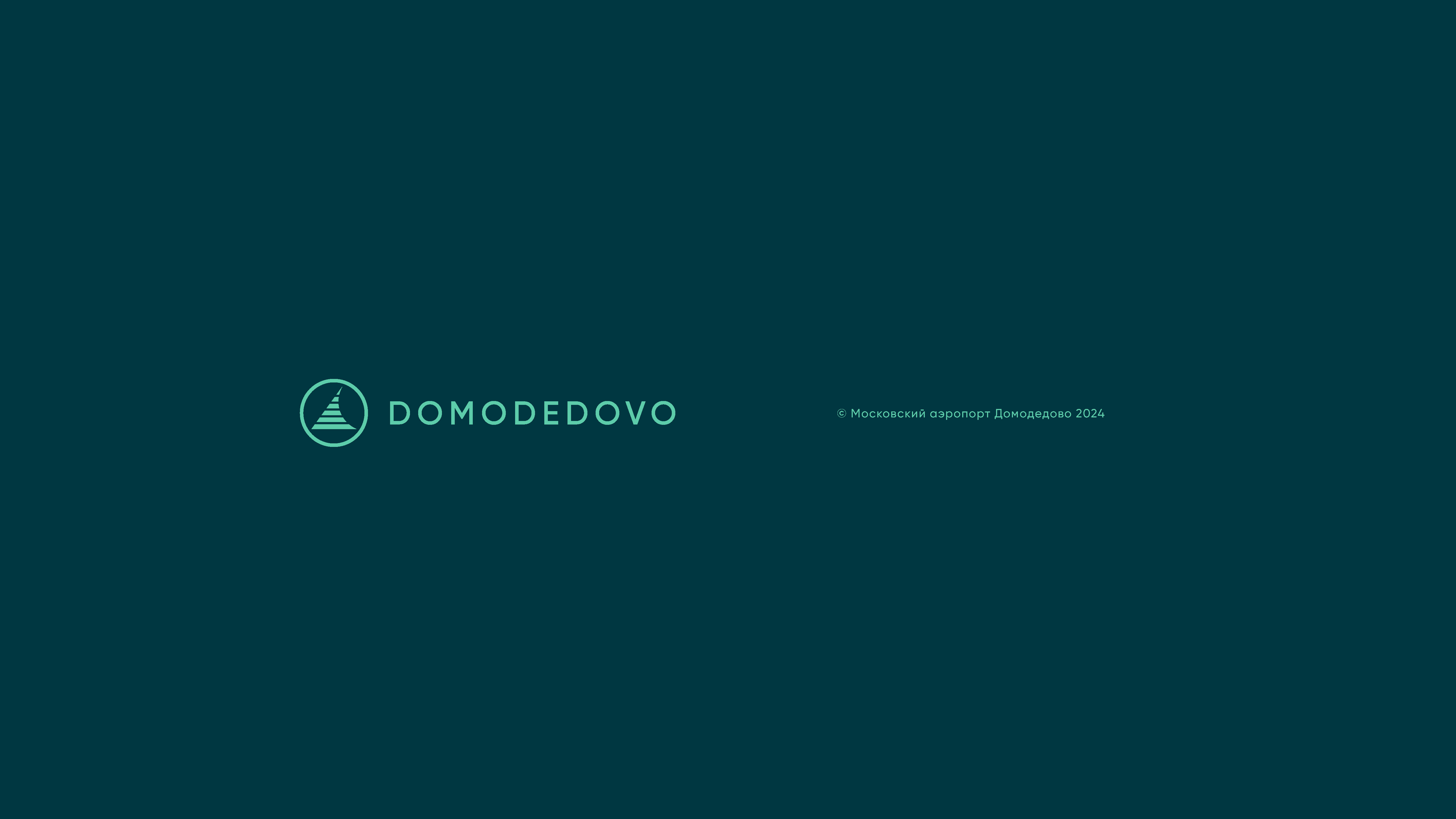 Digital brand guidelines: Moscow Domodedovo Airport — Изображение №9 — Брендинг на Dprofile