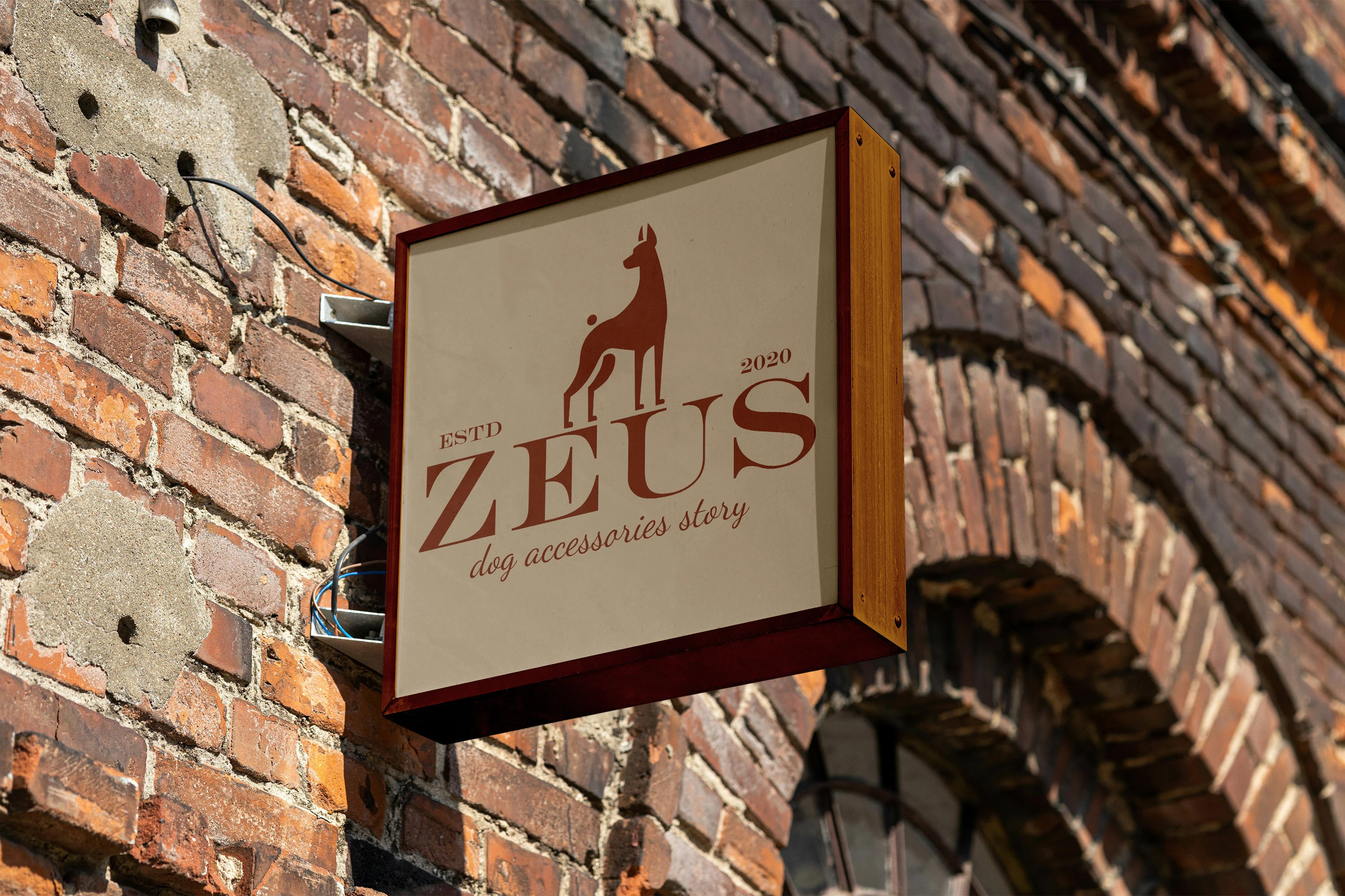 ZEUS — Dog Accessories Story — Изображение №9 — Брендинг на Dprofile