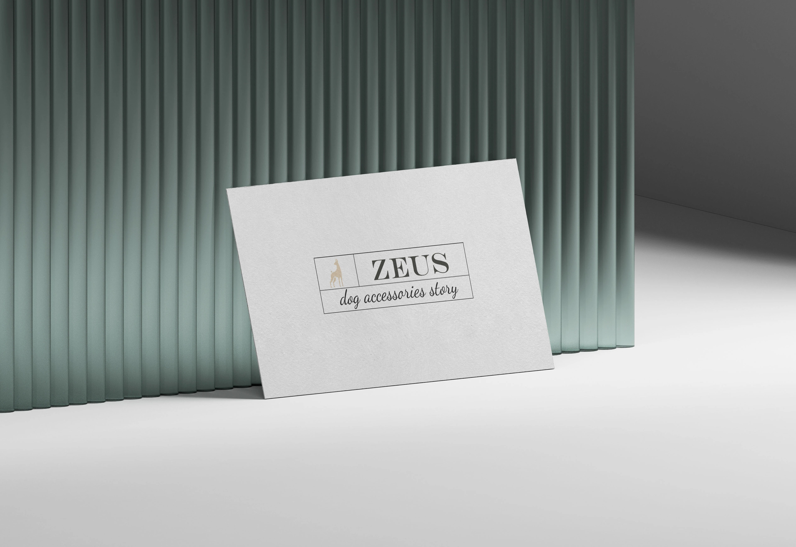 ZEUS — Dog Accessories Story — Изображение №8 — Брендинг на Dprofile