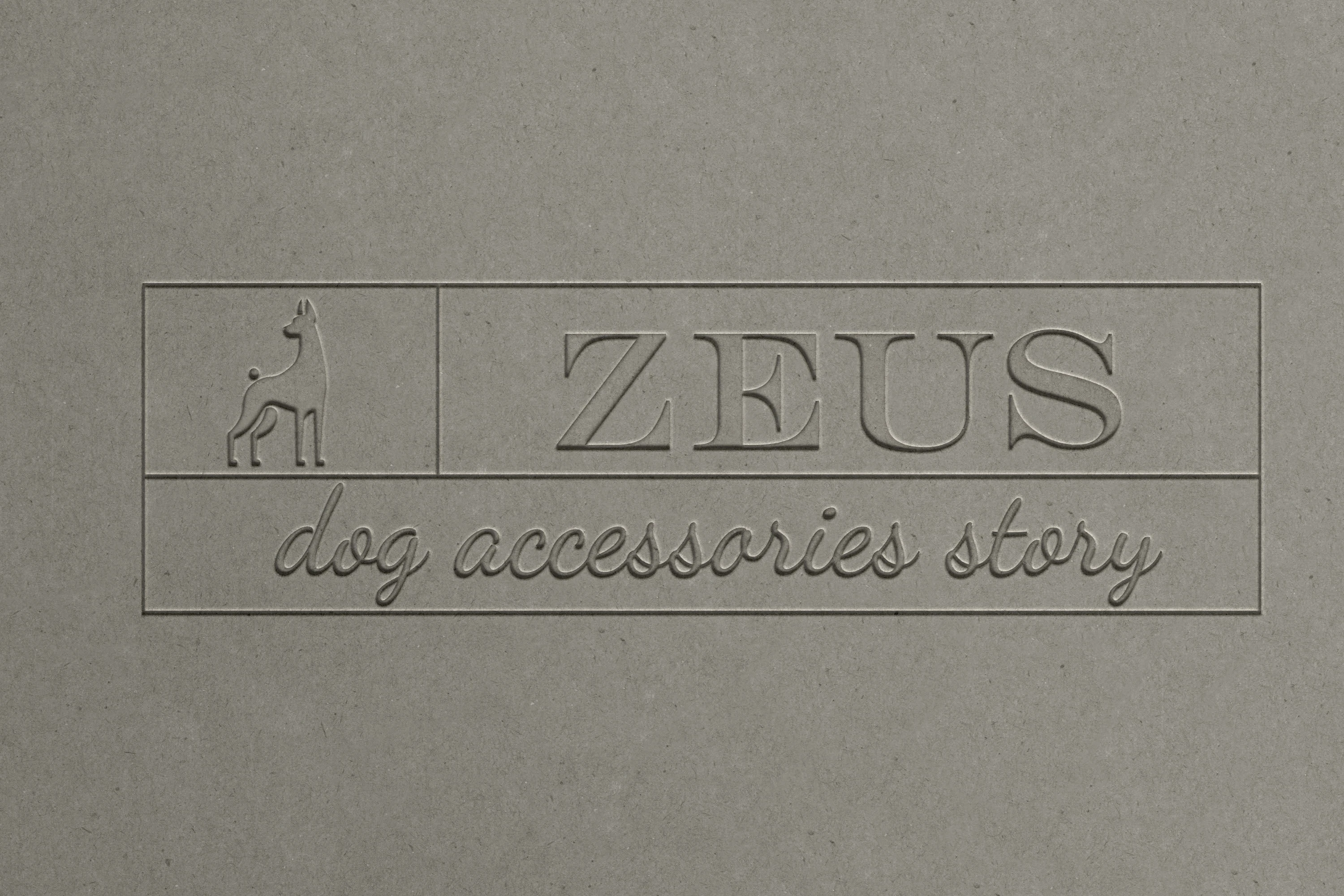 ZEUS — Dog Accessories Story — Изображение №10 — Брендинг на Dprofile