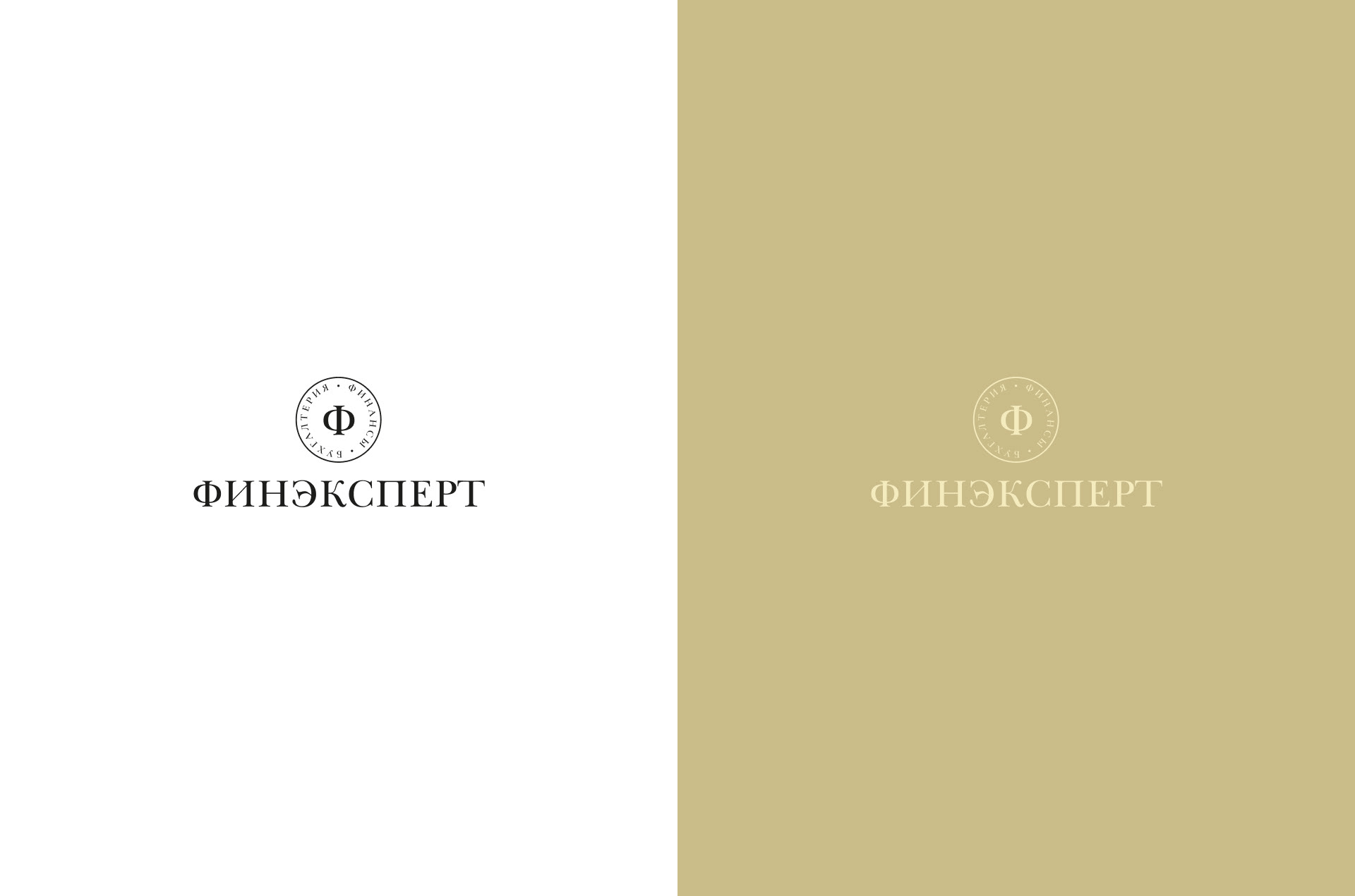 Логотип и фирменный стиль, бухгалтерия — Изображение №13 — Брендинг на Dprofile