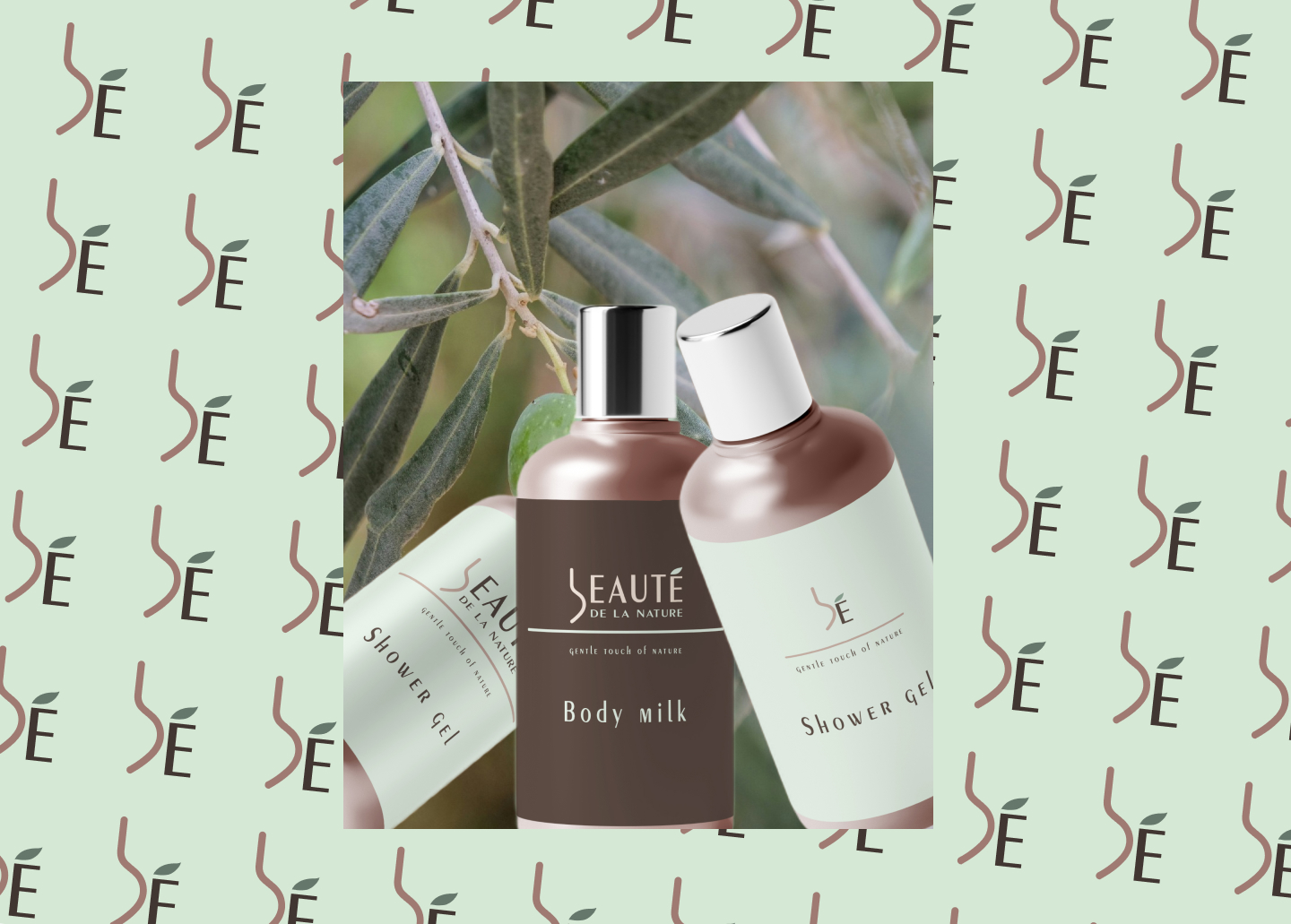 Логотип BEAUTE DE LA NATURE — Изображение №7 — Брендинг, Графика на Dprofile