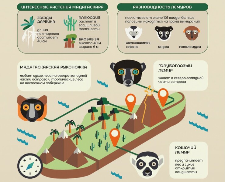 Мир животных в инфографике на Dprofile