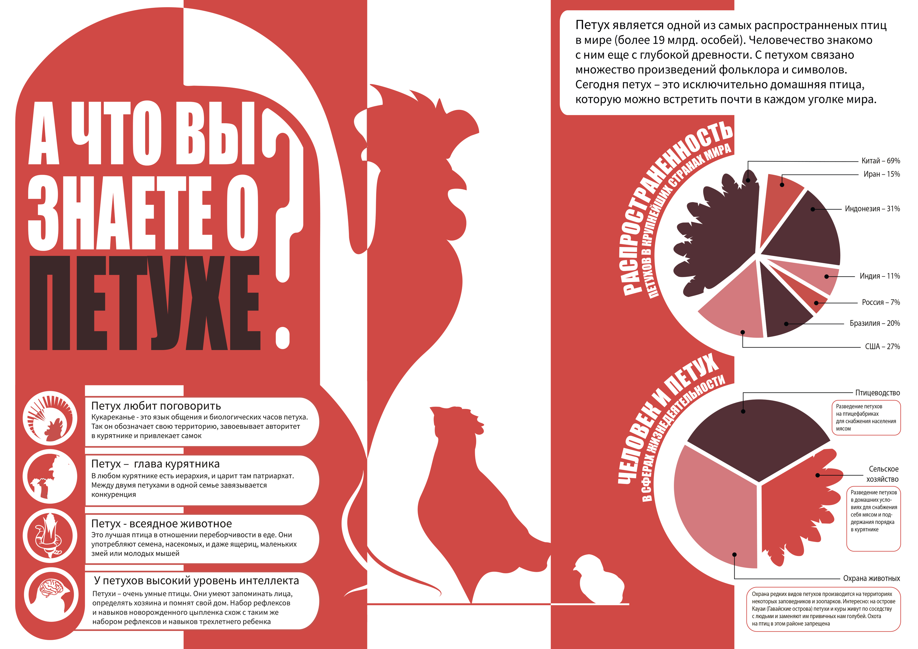 Мир животных в инфографике — Изображение №15 — Иллюстрация, Графика на Dprofile