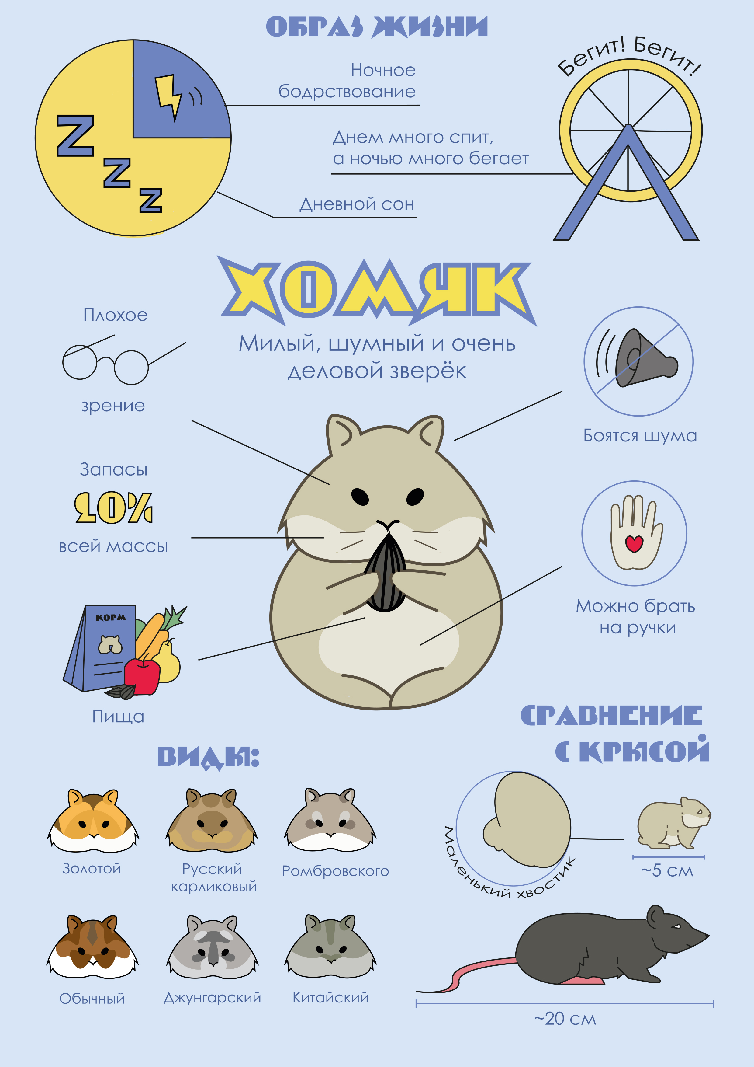 Мир животных в инфографике — Изображение №5 — Иллюстрация, Графика на Dprofile