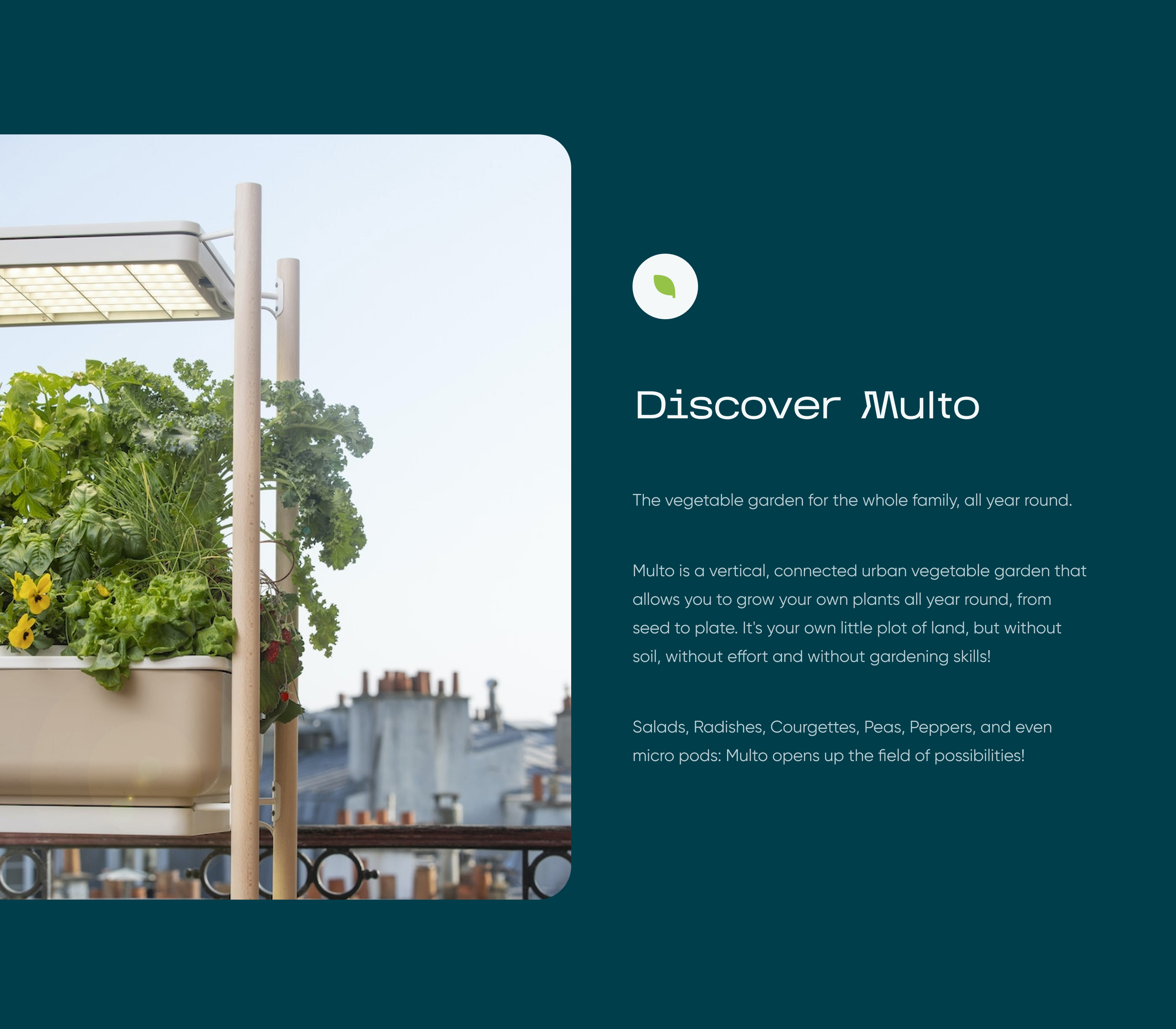 MULTO | Website Design — Изображение №2 — Интерфейсы на Dprofile