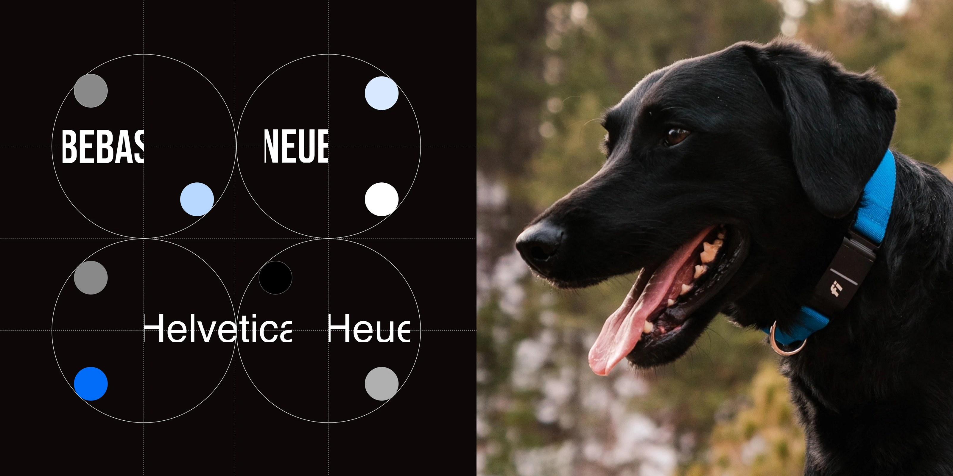 Fi Smart Dog Collar | Landing redesign — Изображение №4 — Интерфейсы, Графика на Dprofile
