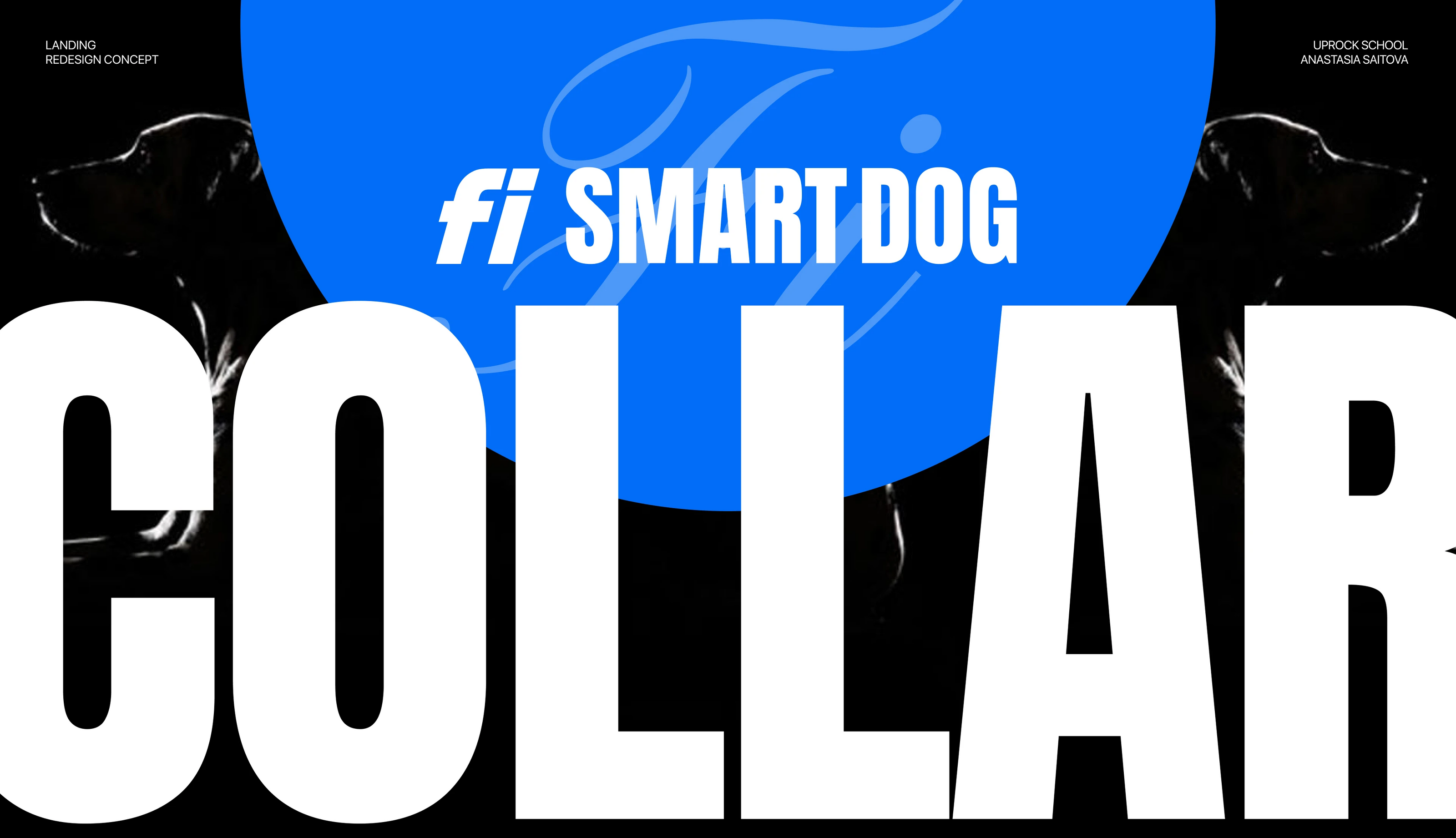 Fi Smart Dog Collar | Landing redesign — Изображение №1 — Интерфейсы, Графика на Dprofile