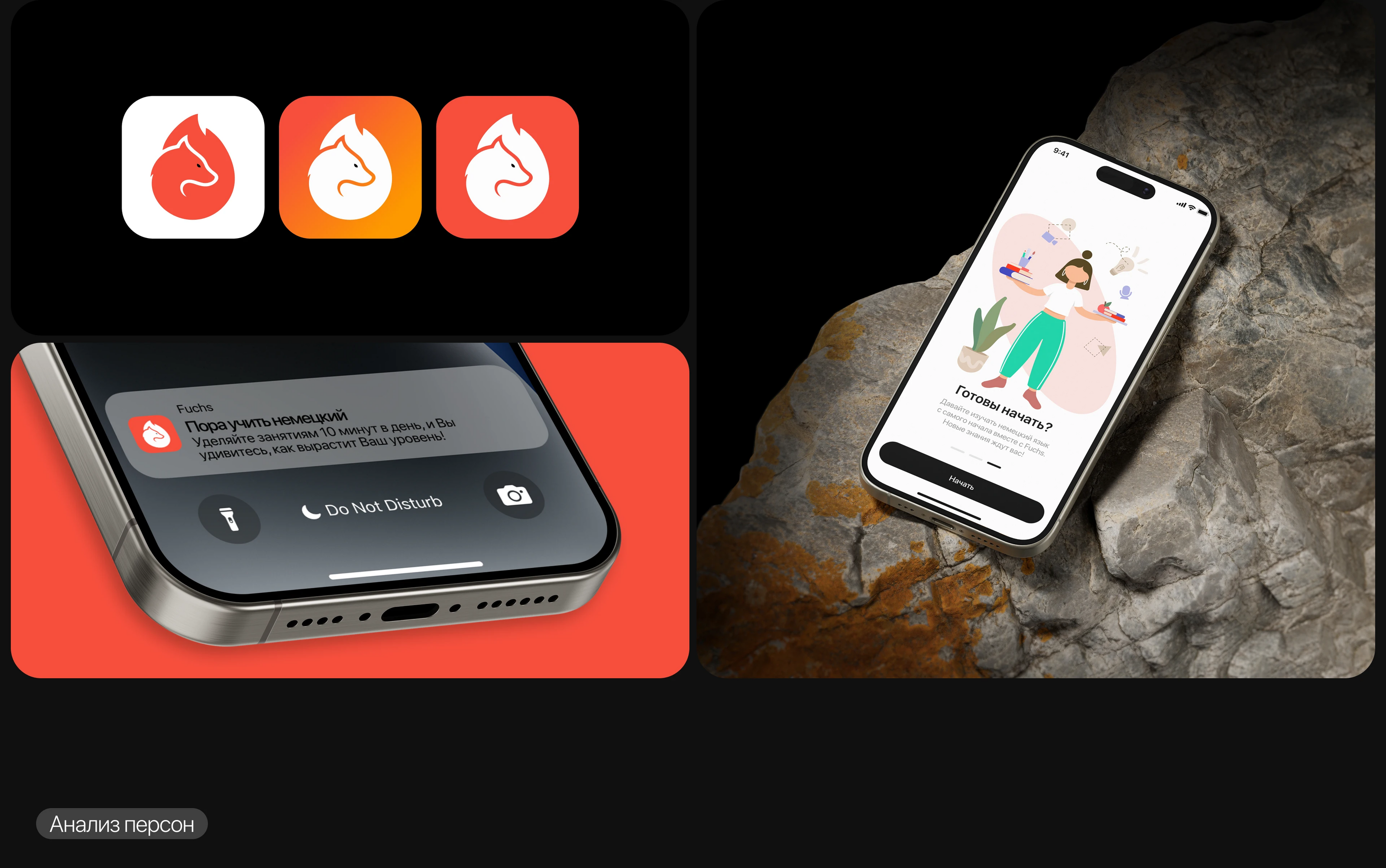 Fuchs | Mobile Learning App — Изображение №2 — Интерфейсы на Dprofile