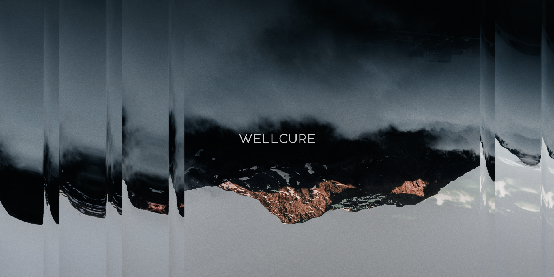 WELLCURE — Изображение №1 — Брендинг, Графика на Dprofile