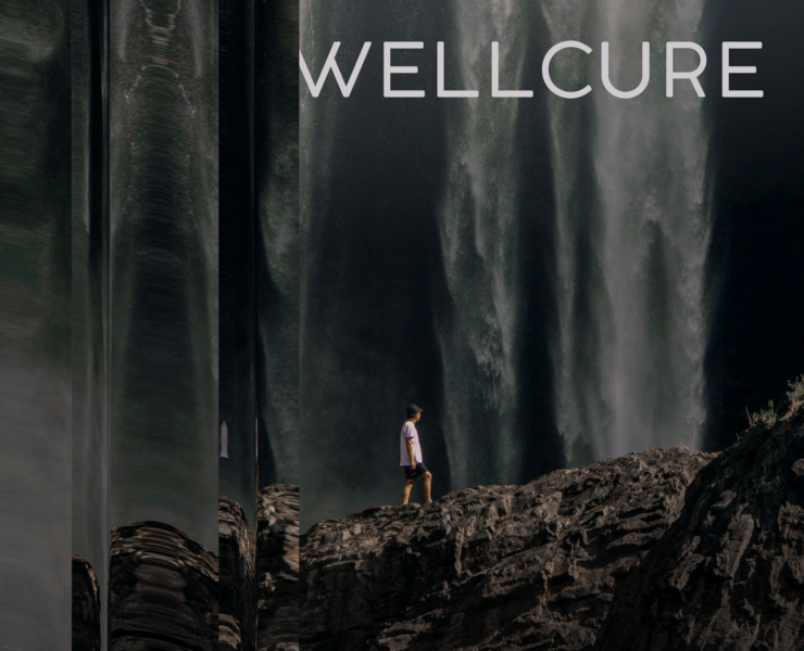 WELLCURE — Брендинг, Графика на Dprofile