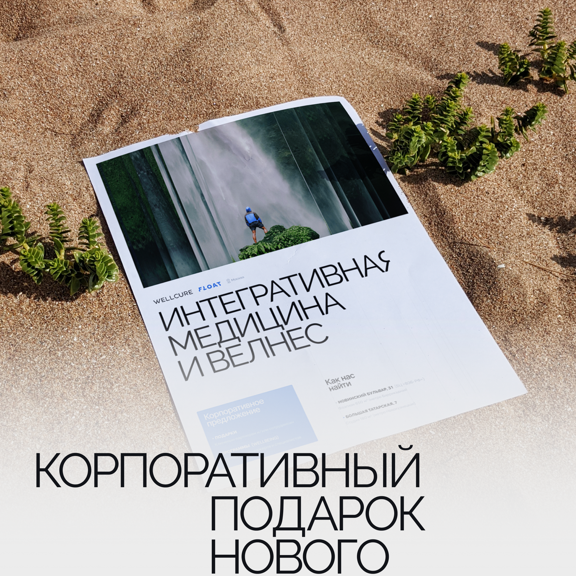 WELLCURE — Изображение №3 — Брендинг, Графика на Dprofile
