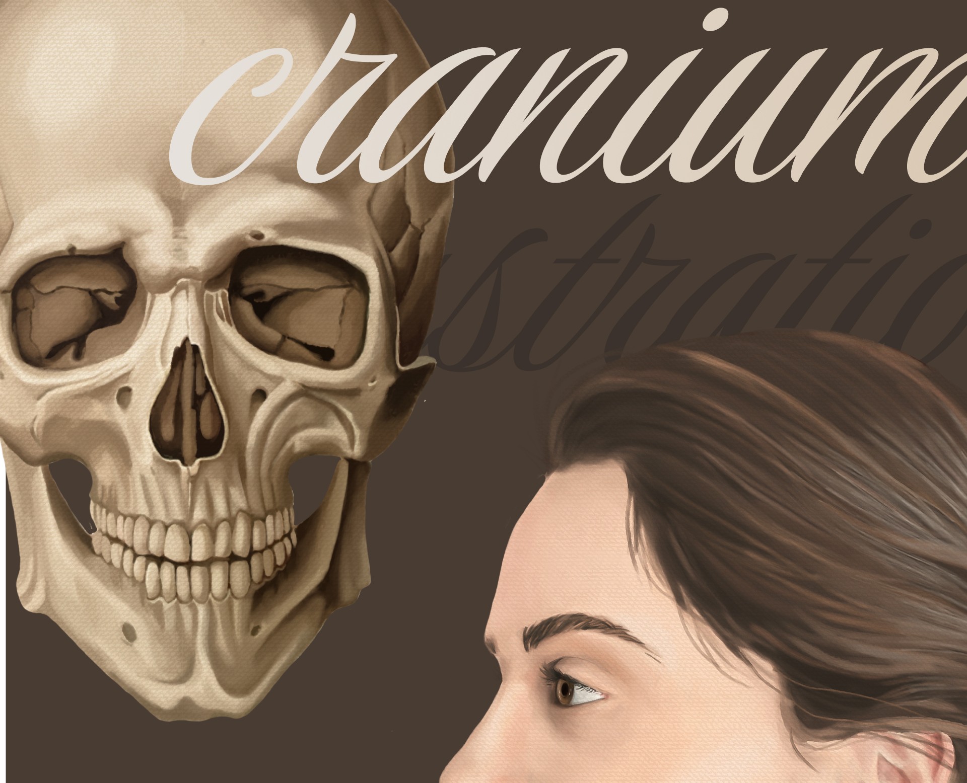 Анатомические иллюстрации для пластической хирургии — Иллюстрация, Графика на Dprofile