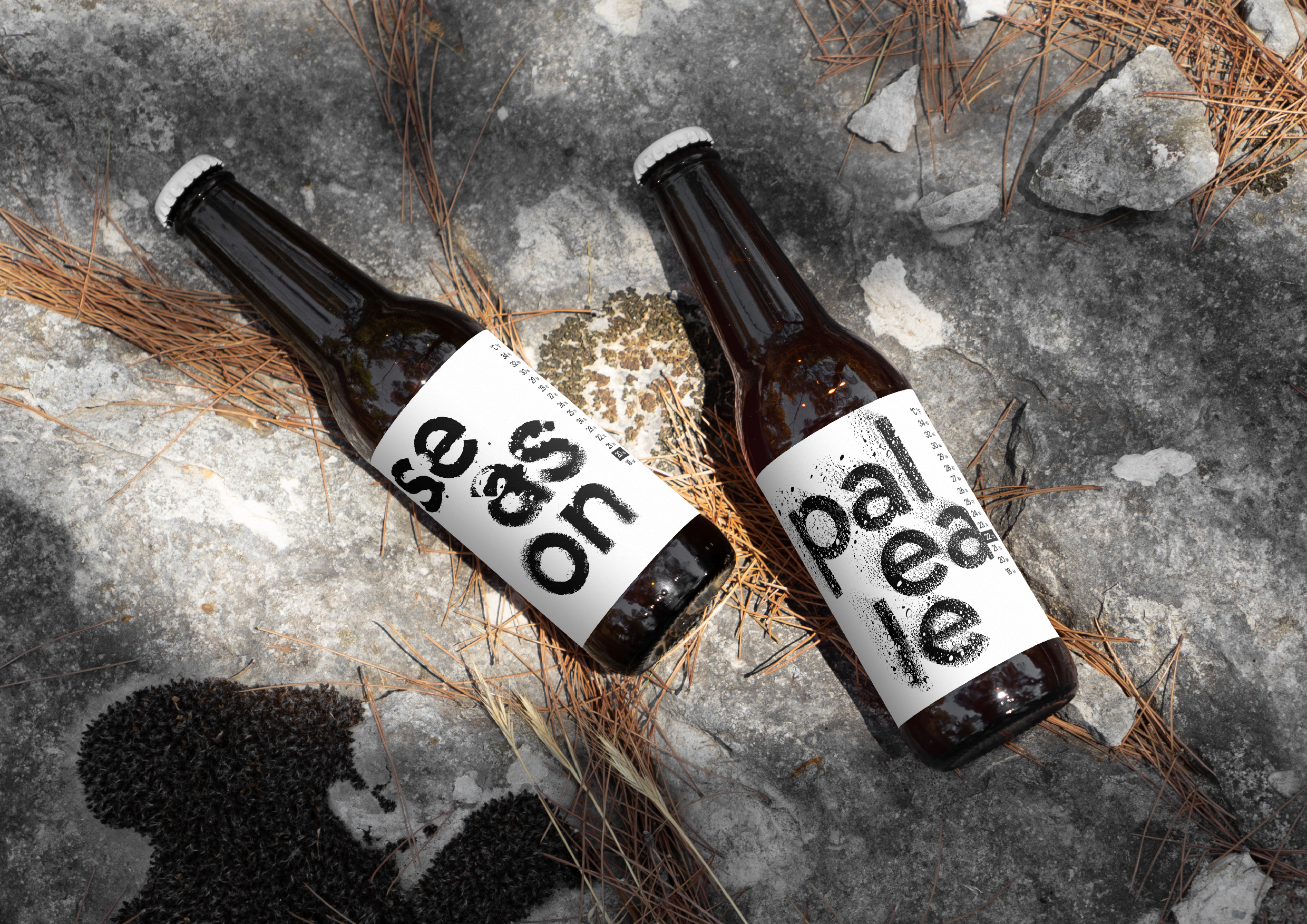 Hipster Beer festival — Изображение №4 — Брендинг на Dprofile