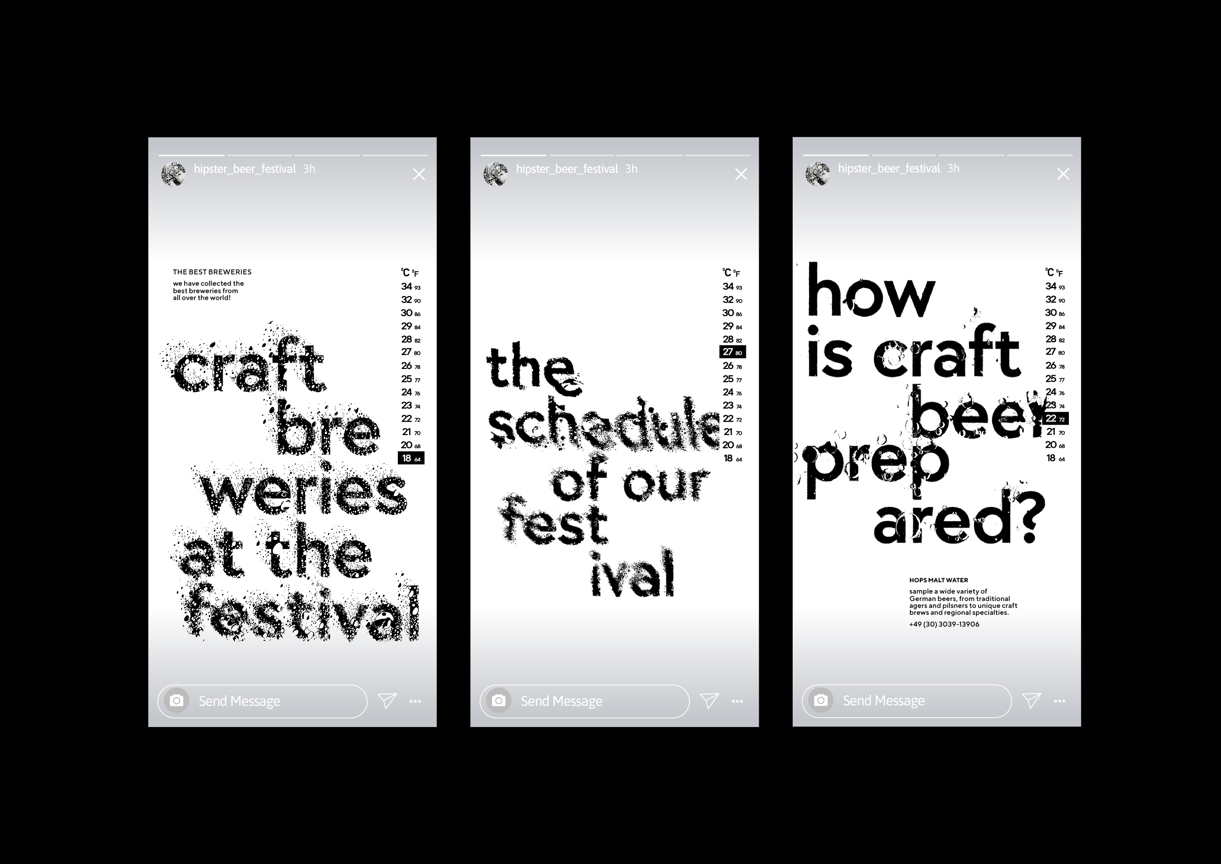 Hipster Beer festival — Изображение №3 — Брендинг на Dprofile