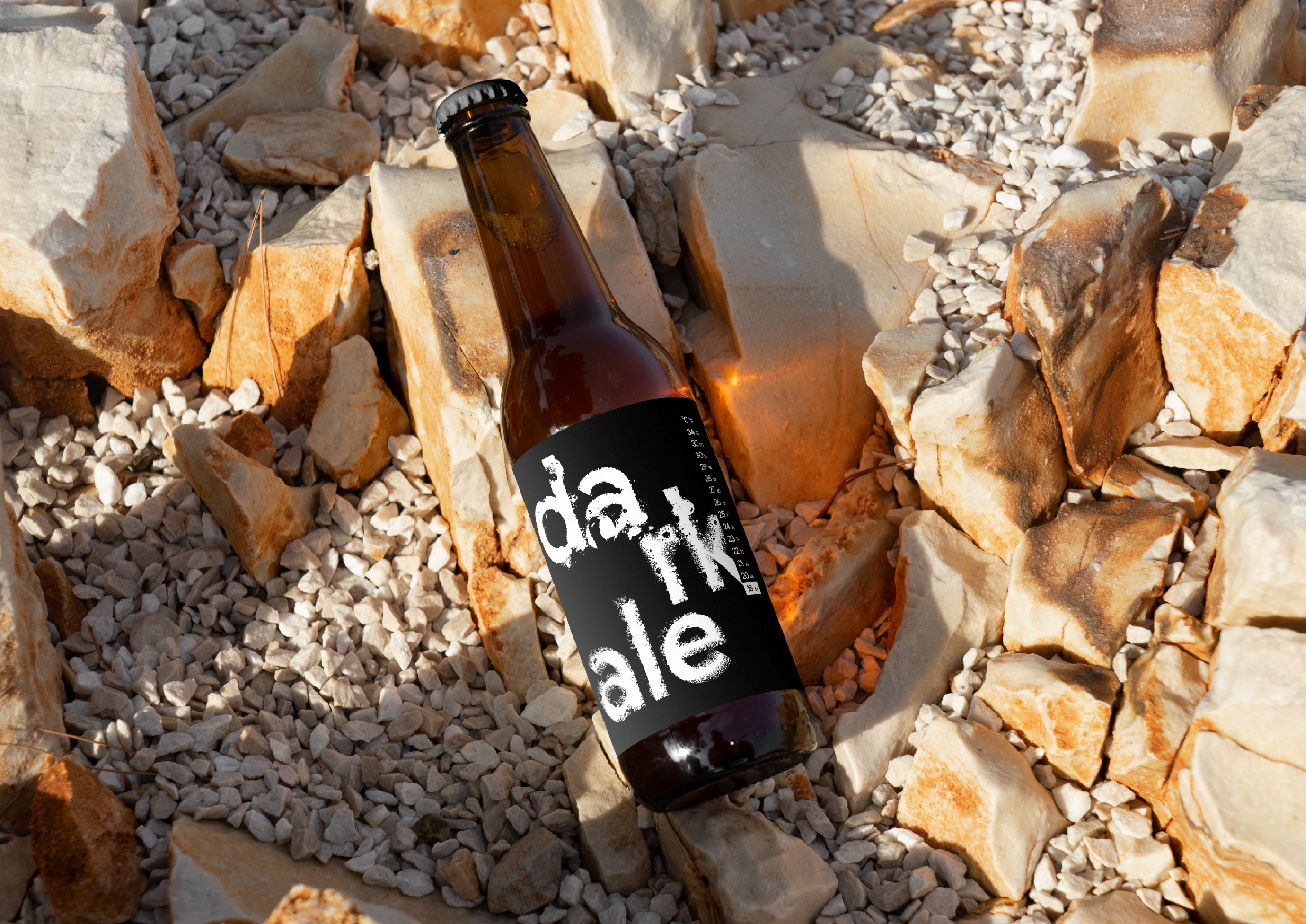 Hipster Beer festival — Изображение №1 — Брендинг на Dprofile