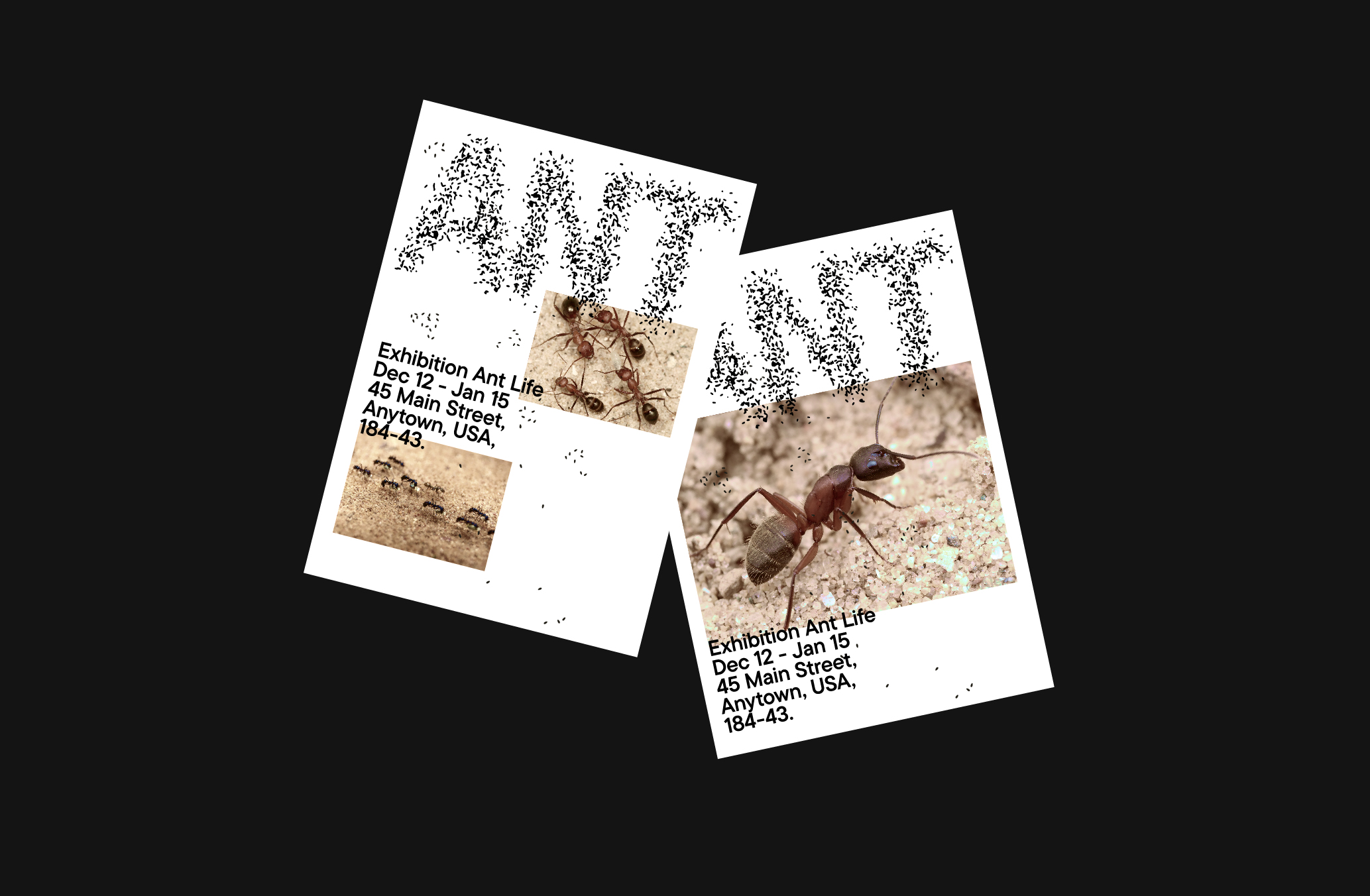 Ant Life Exhibition — Изображение №6 — Брендинг, Графика на Dprofile