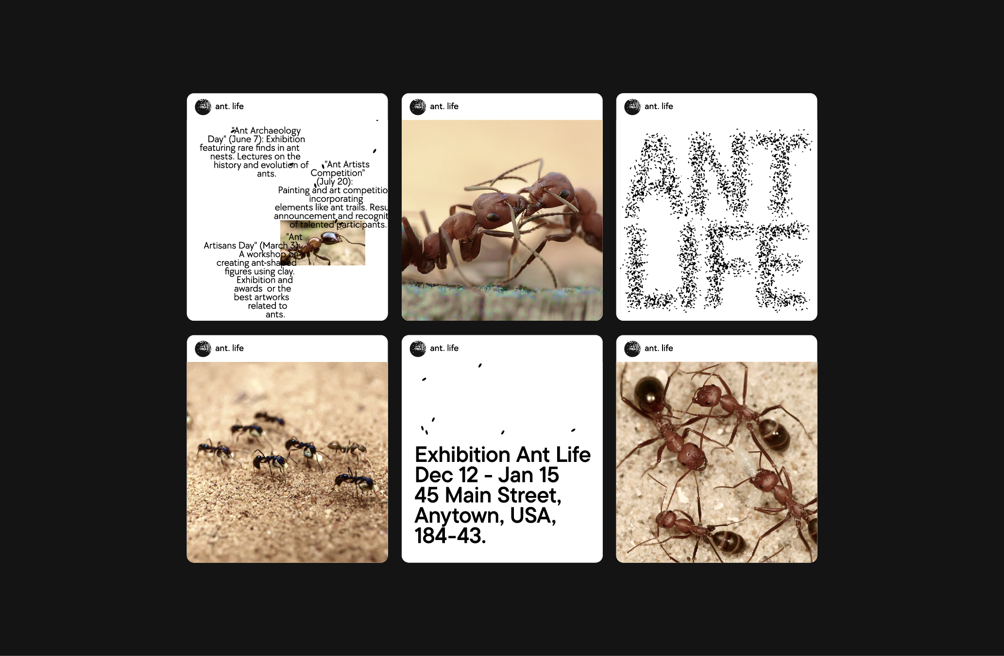 Ant Life Exhibition — Изображение №2 — Брендинг, Графика на Dprofile