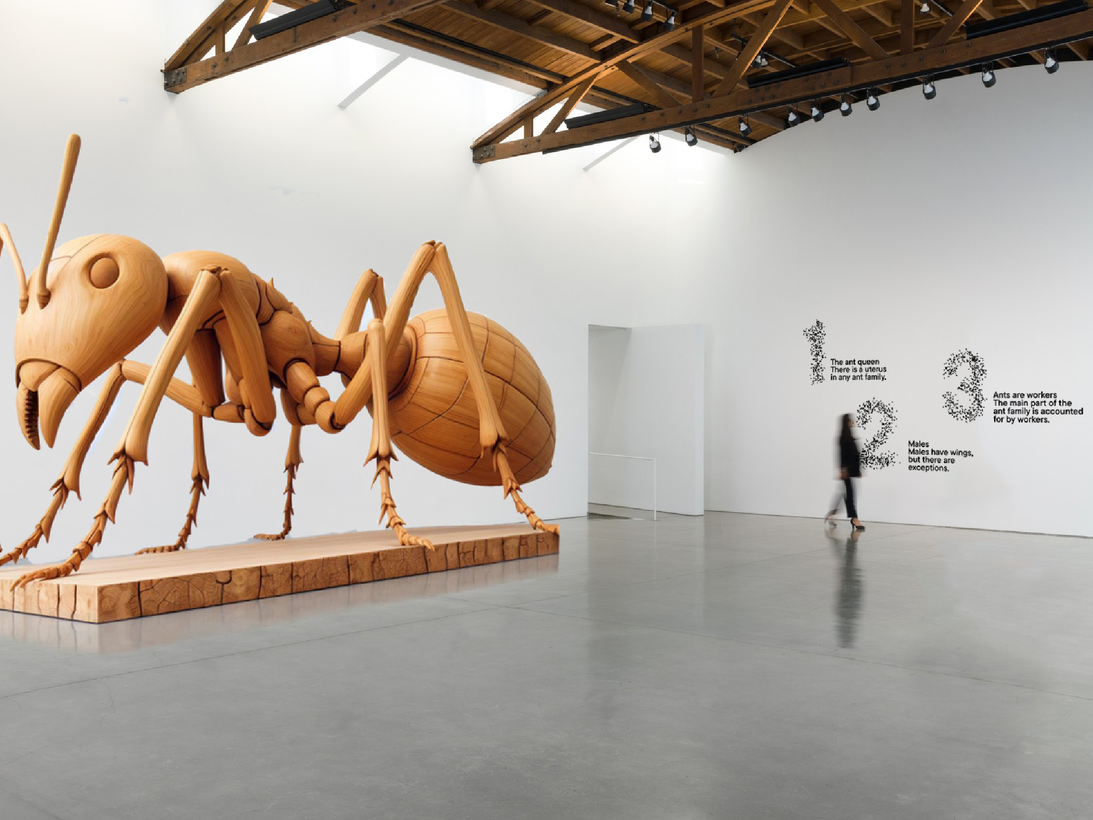 Ant Life Exhibition — Изображение №5 — Брендинг, Графика на Dprofile