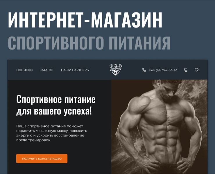 Спортивное питание | Интернет-магазин — Интерфейсы на Dprofile