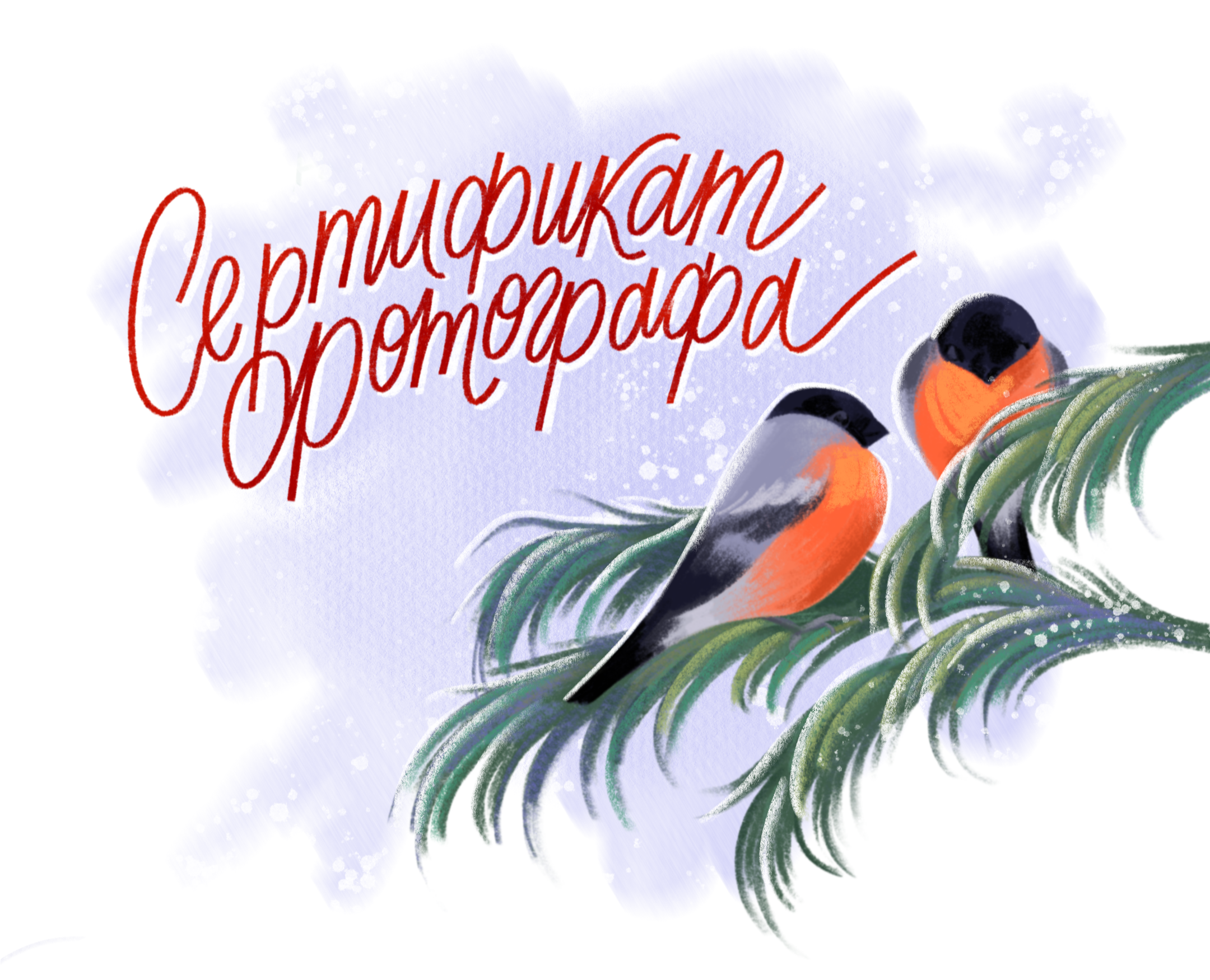 Иллюстрации для сертификата фотографа — Брендинг, Иллюстрация на Dprofile