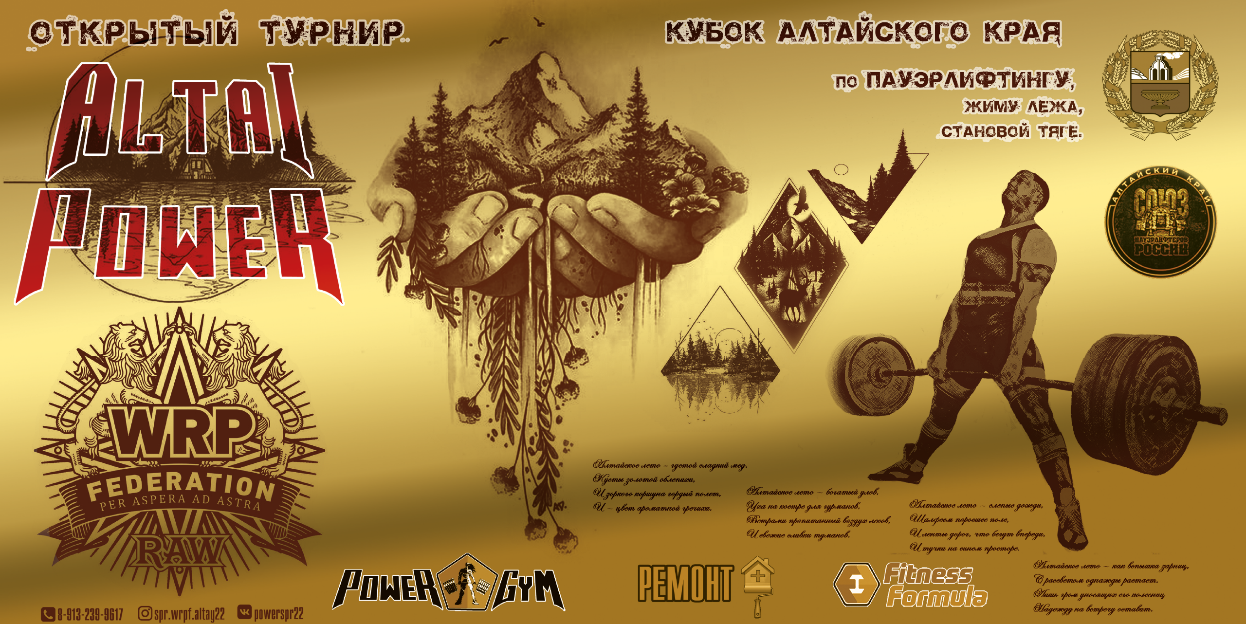 Турнир «Сила Алтая» — Изображение №9 — Брендинг, Графика на Dprofile