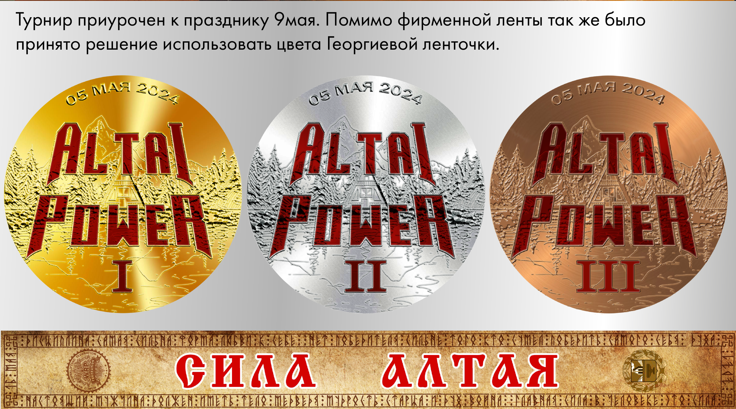 Турнир «Сила Алтая» — Изображение №8 — Брендинг, Графика на Dprofile