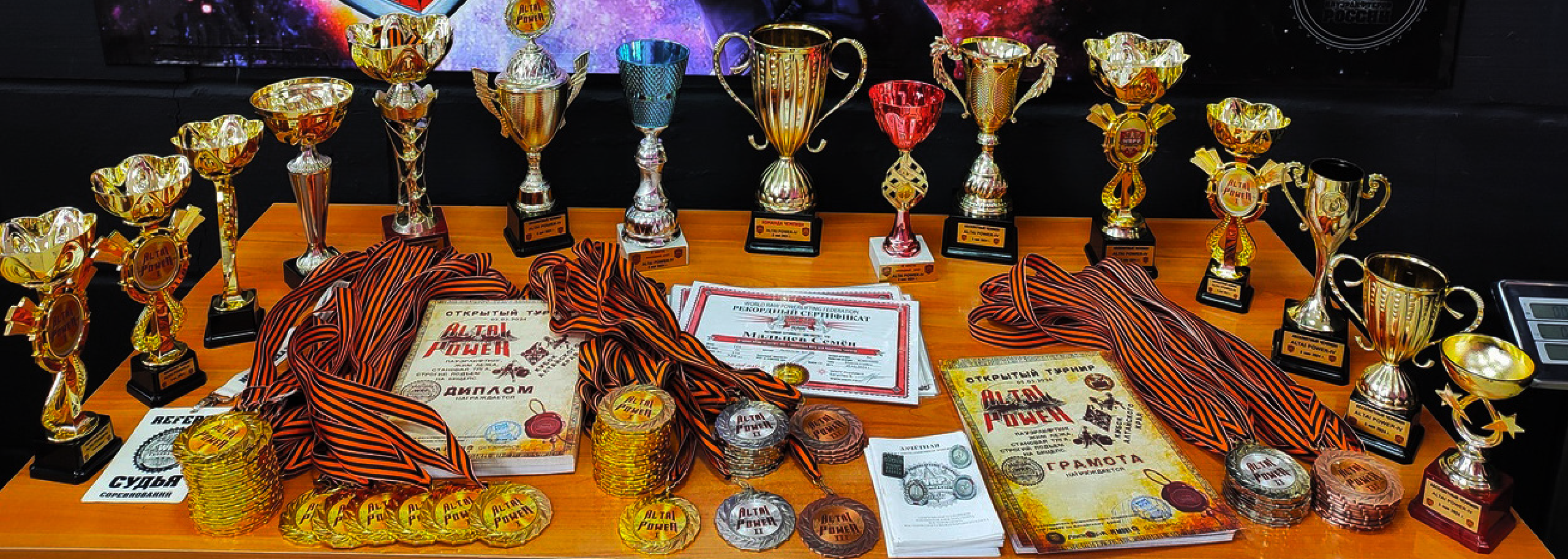 Турнир «Сила Алтая» — Изображение №7 — Брендинг, Графика на Dprofile