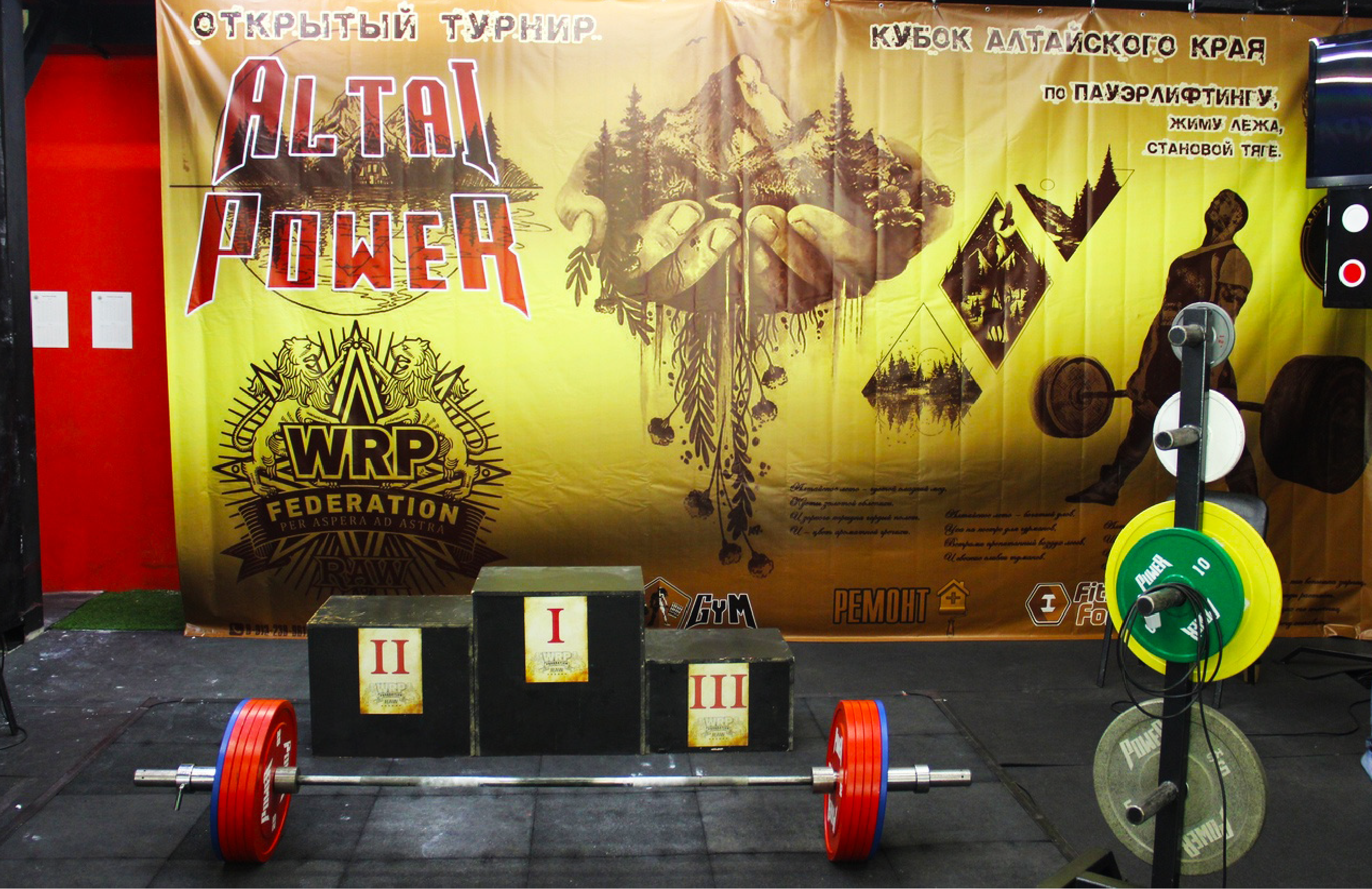 Турнир «Сила Алтая» — Изображение №12 — Брендинг, Графика на Dprofile