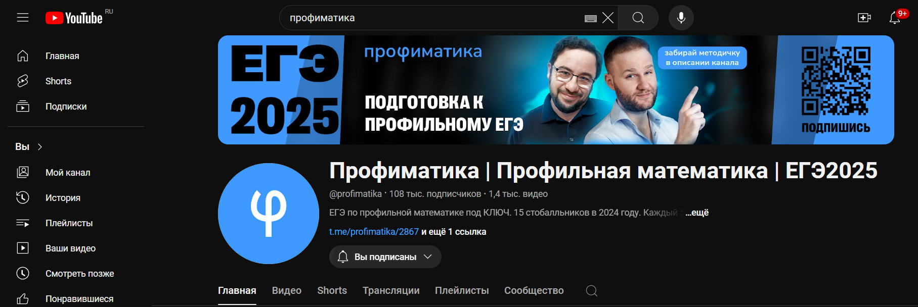 Профиматика — Изображение №10 — Брендинг на Dprofile