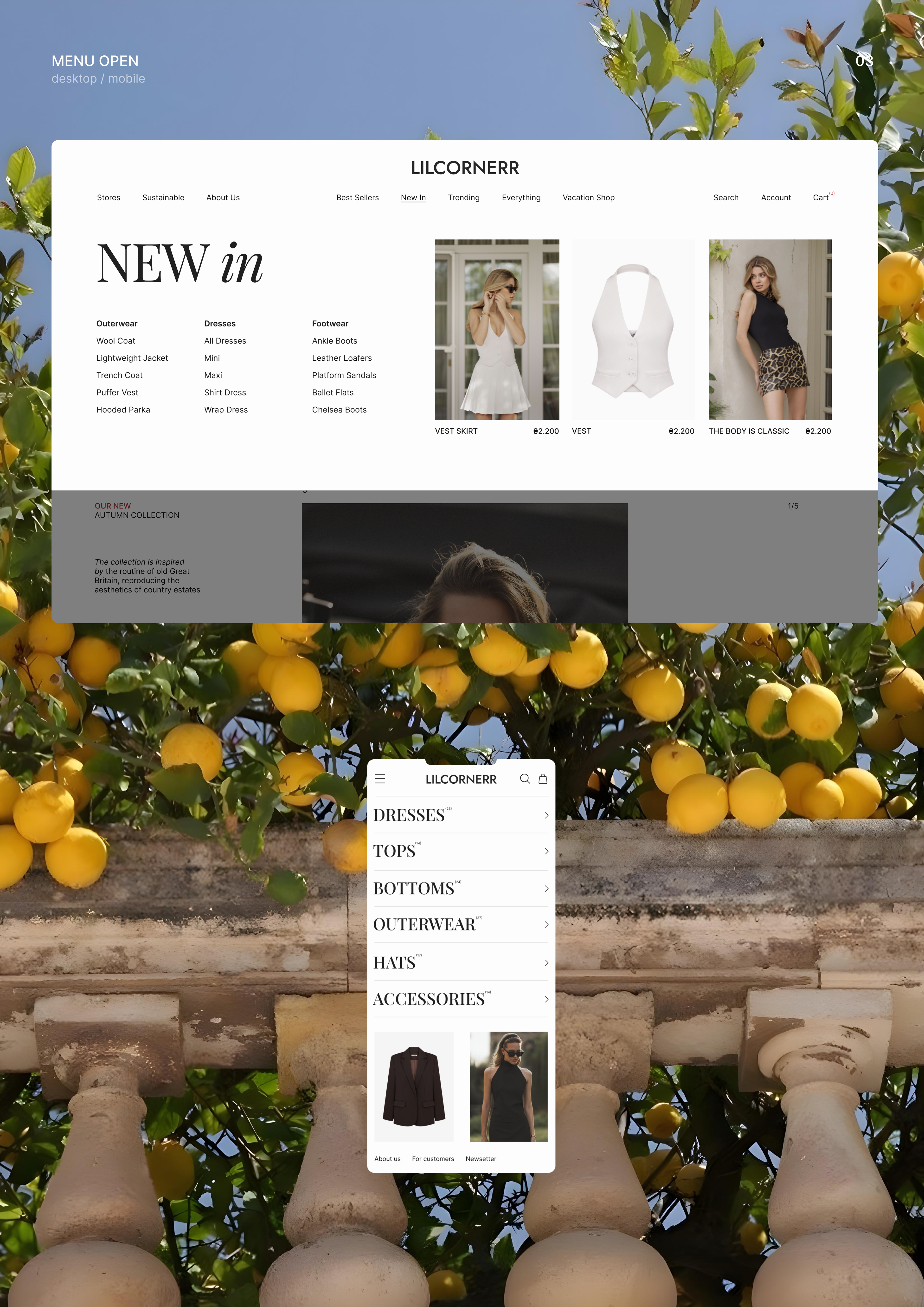 LILCORNERR online store | Wedsite design | E-commerce — Изображение №7 — Интерфейсы на Dprofile