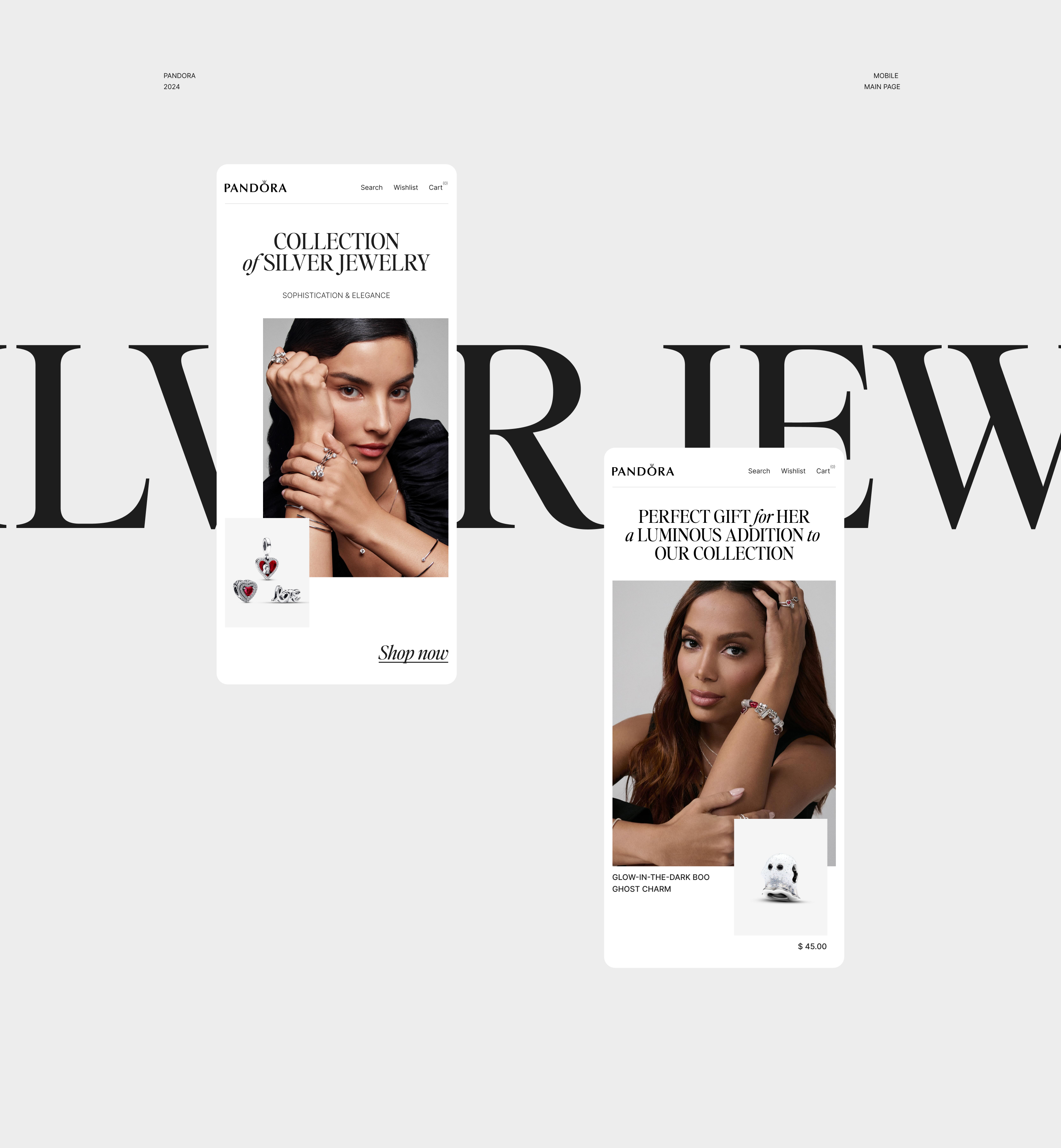 Pandora E-commerce — Изображение №4 — Интерфейсы, Брендинг на Dprofile