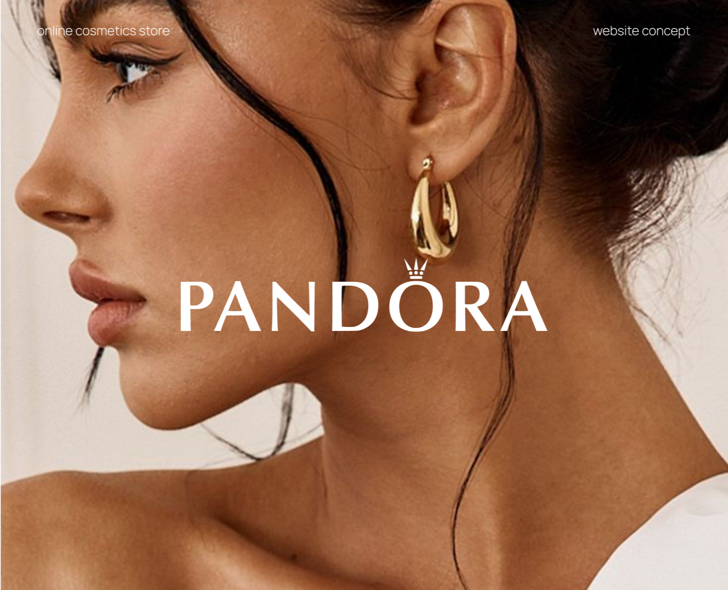 Pandora E-commerce на Dprofile